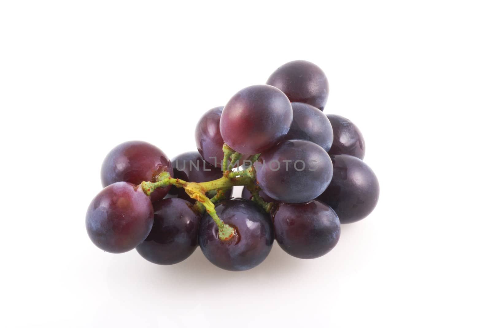 Bunch of grapes iolated on a white background.            