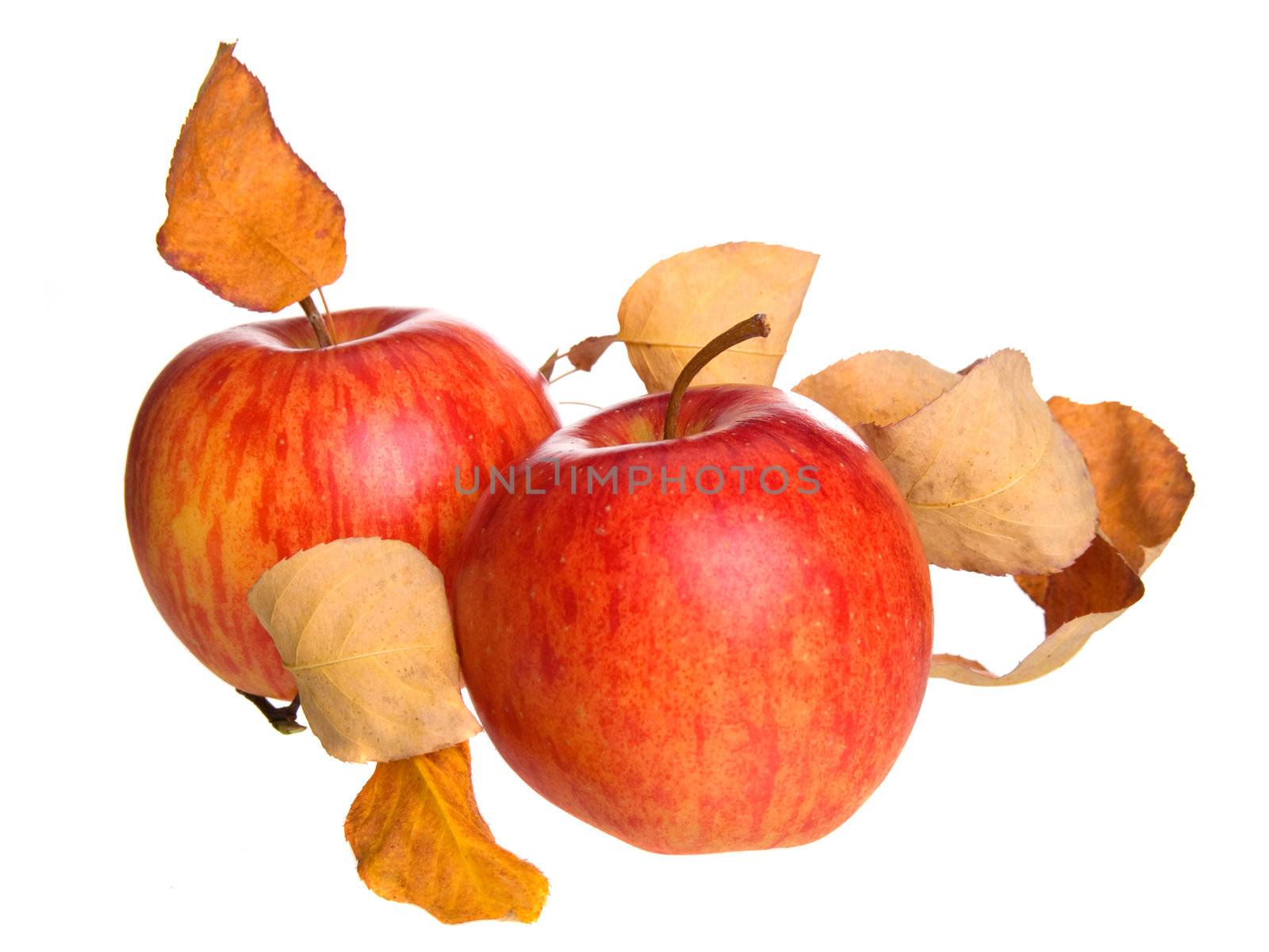 two apple on white background 
