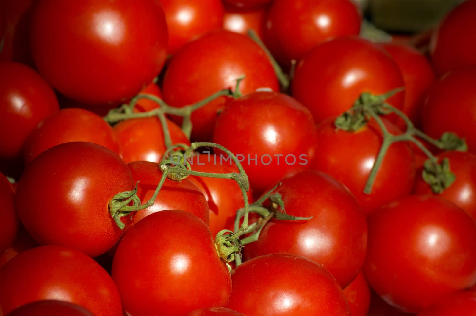 fresh ripe tomatoes by starush