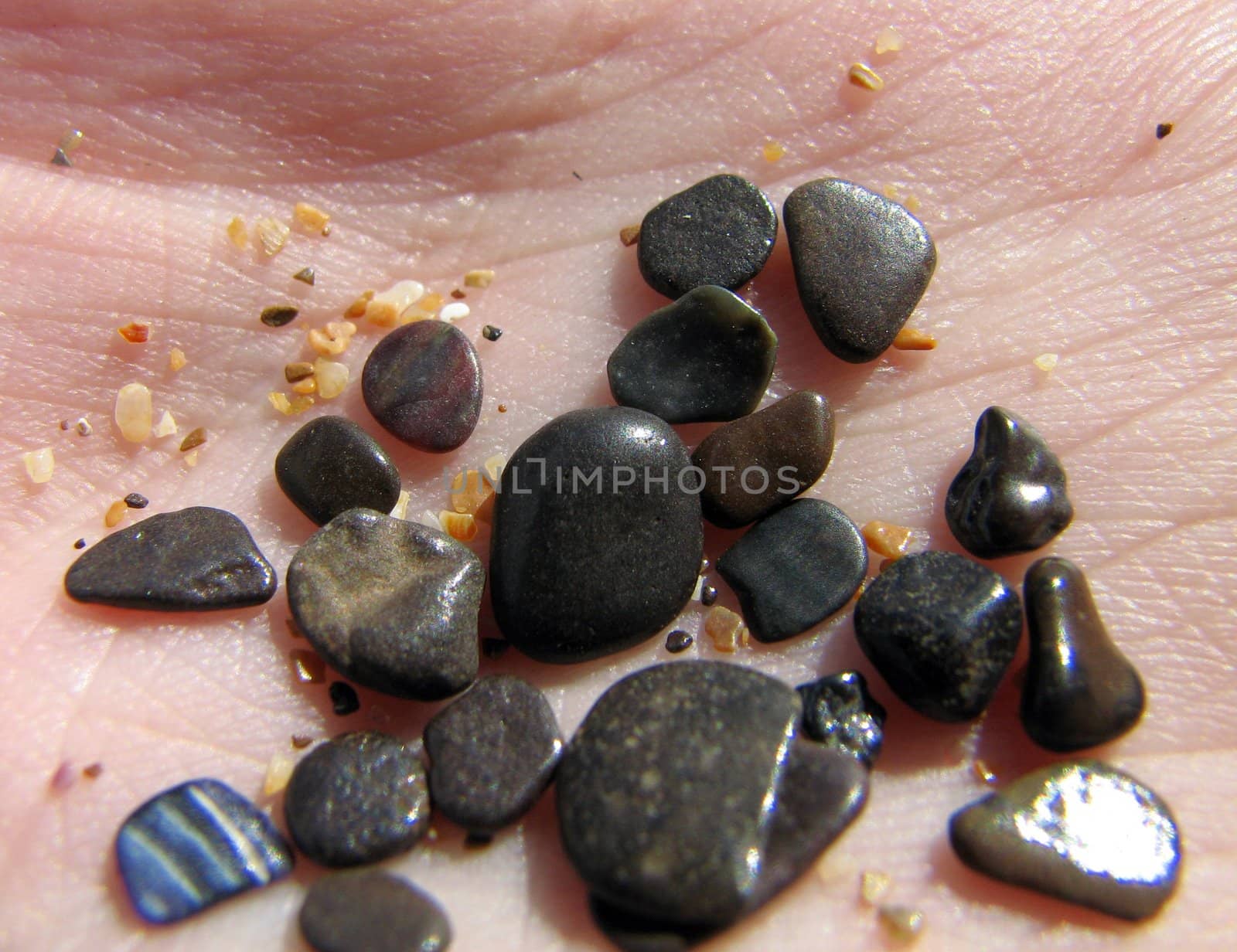 The small sea stones lying on a palm