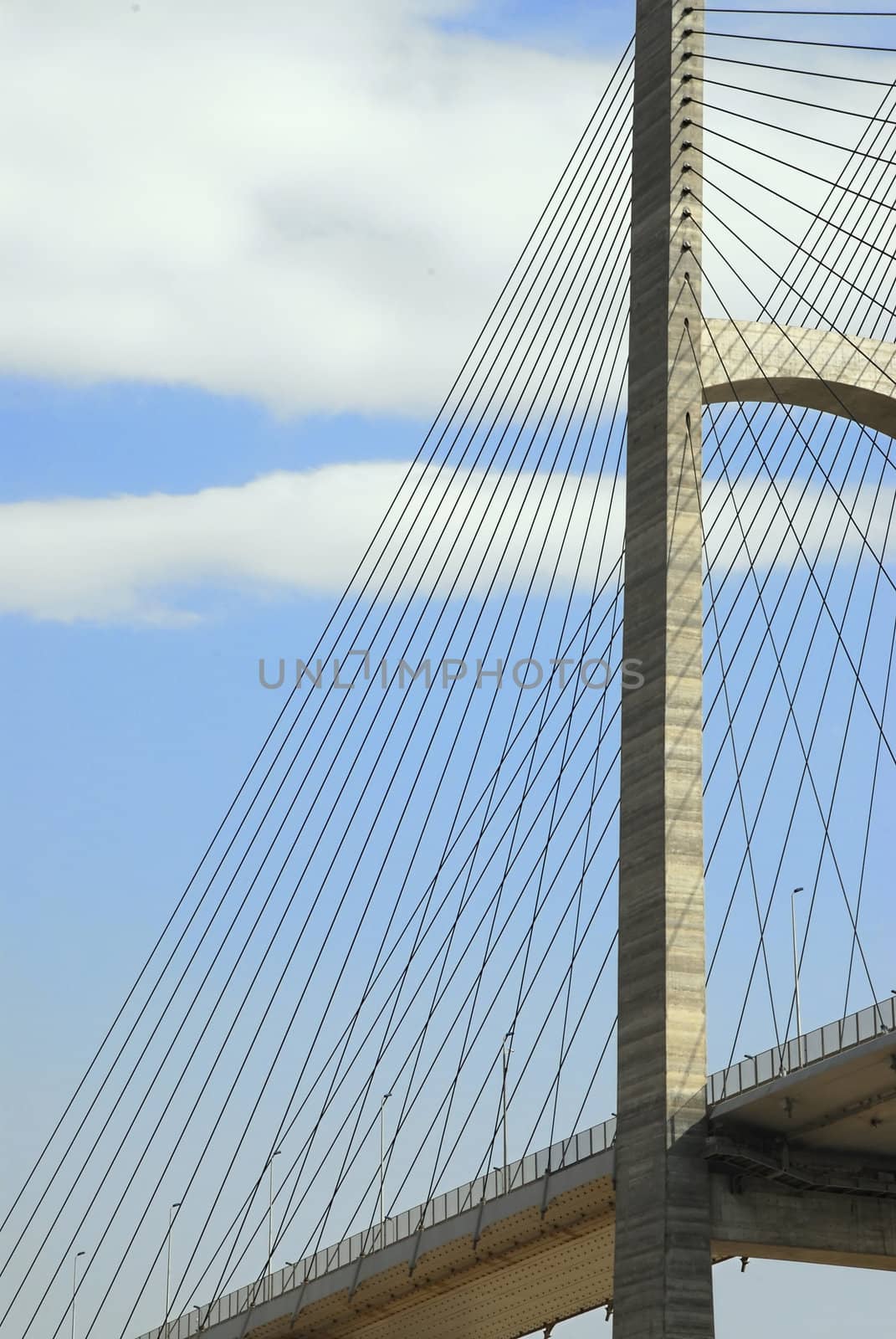 Suspension Bridge by npologuy