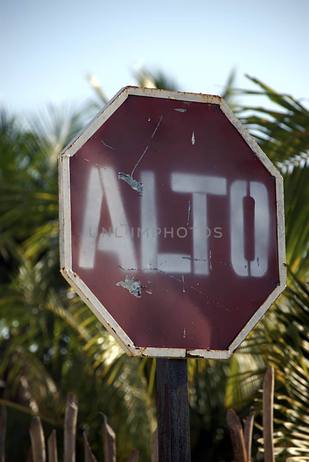 a Stop Sign in Spanish