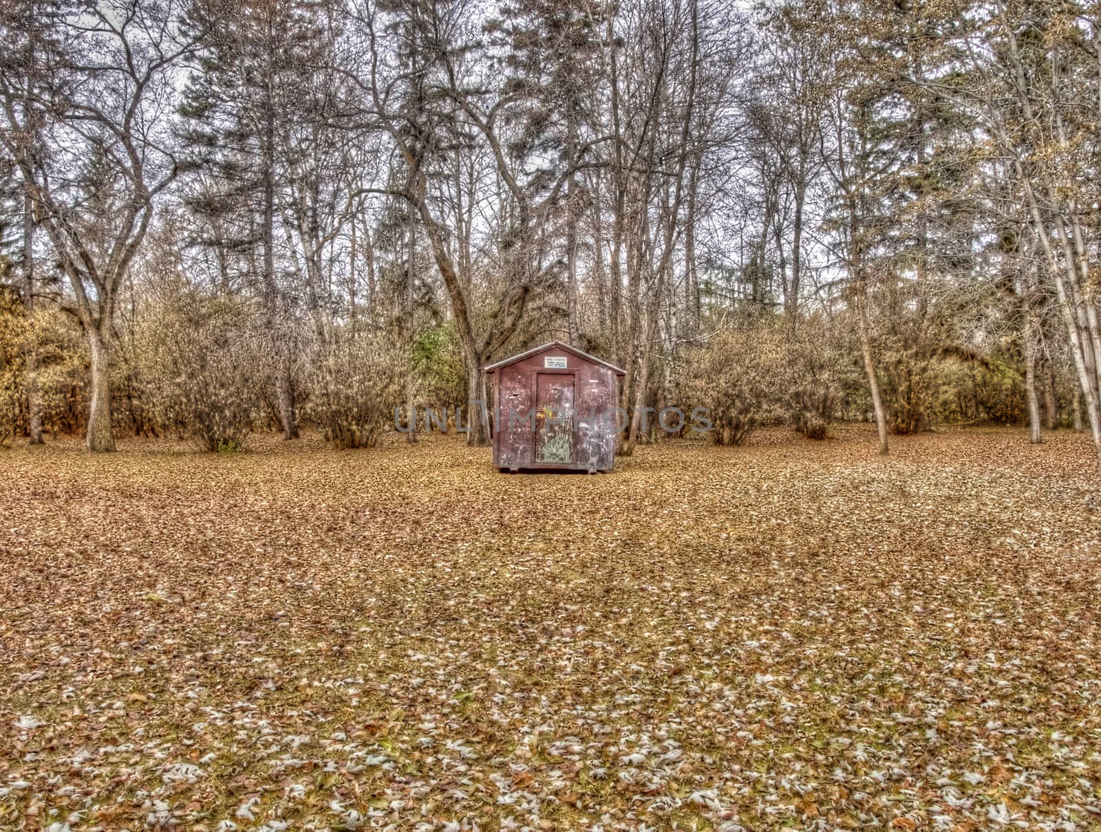 A lone storage shed in the distance along a tree line in Autumn.
