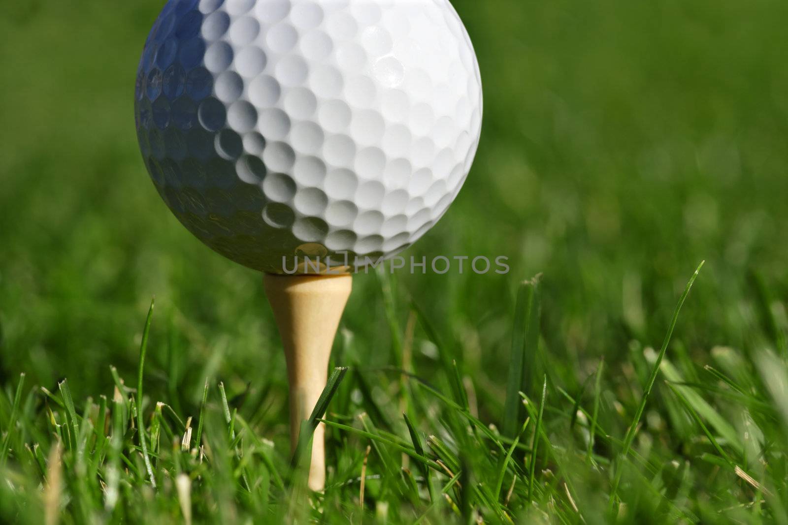 Macro image of a golf ball on a tee. Shallow depth of field, with the focus on the ball.  Space for text.