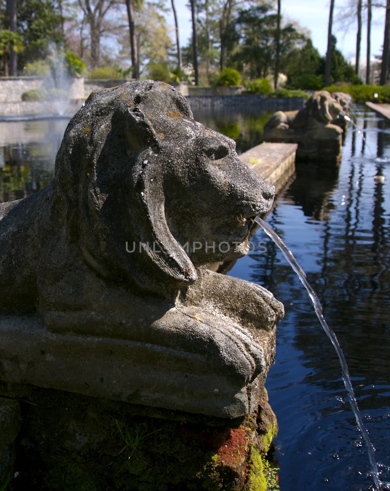 A line of stone lion fountains in a beautiful garden on a warm spring day