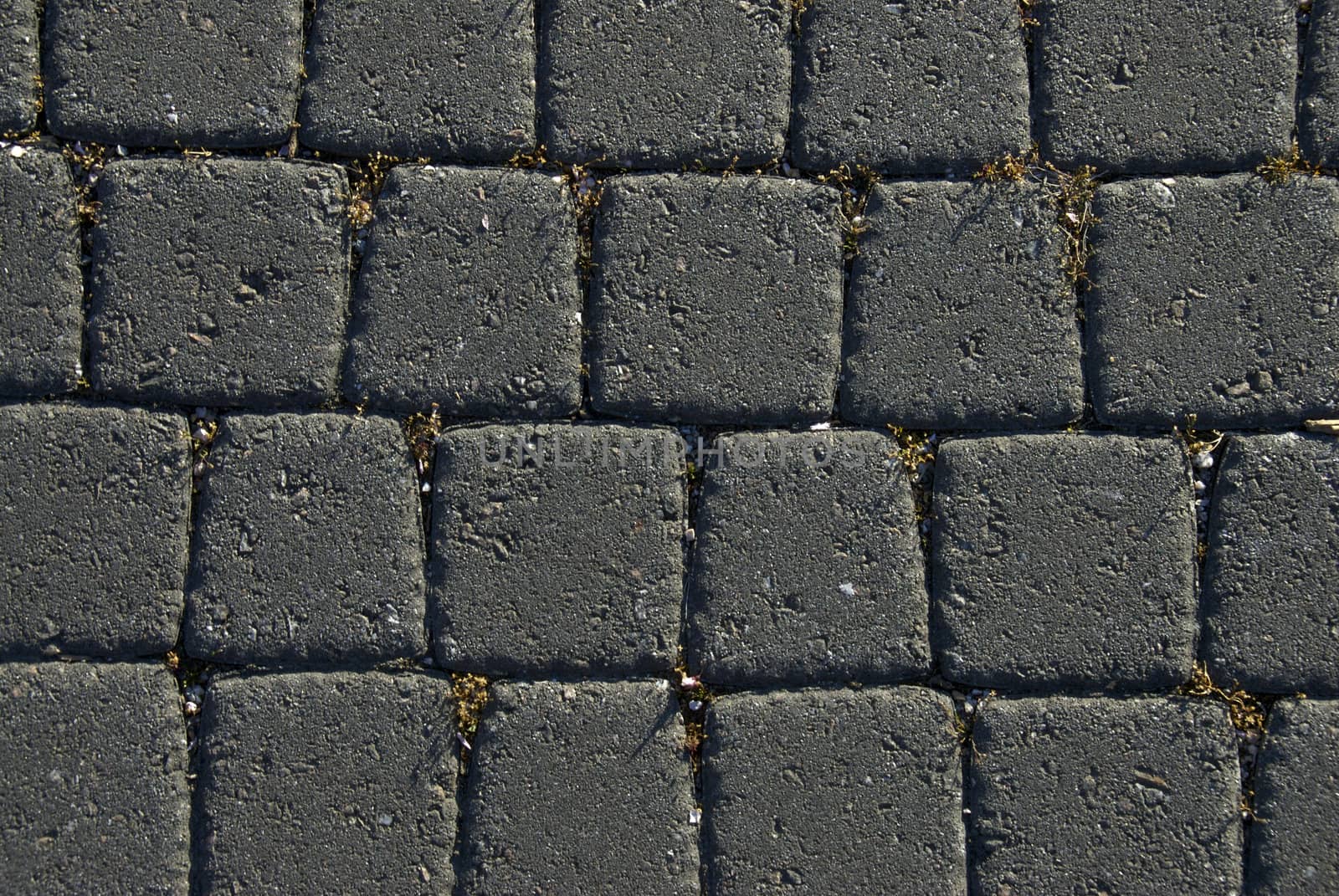 Black Brick Wall by npologuy