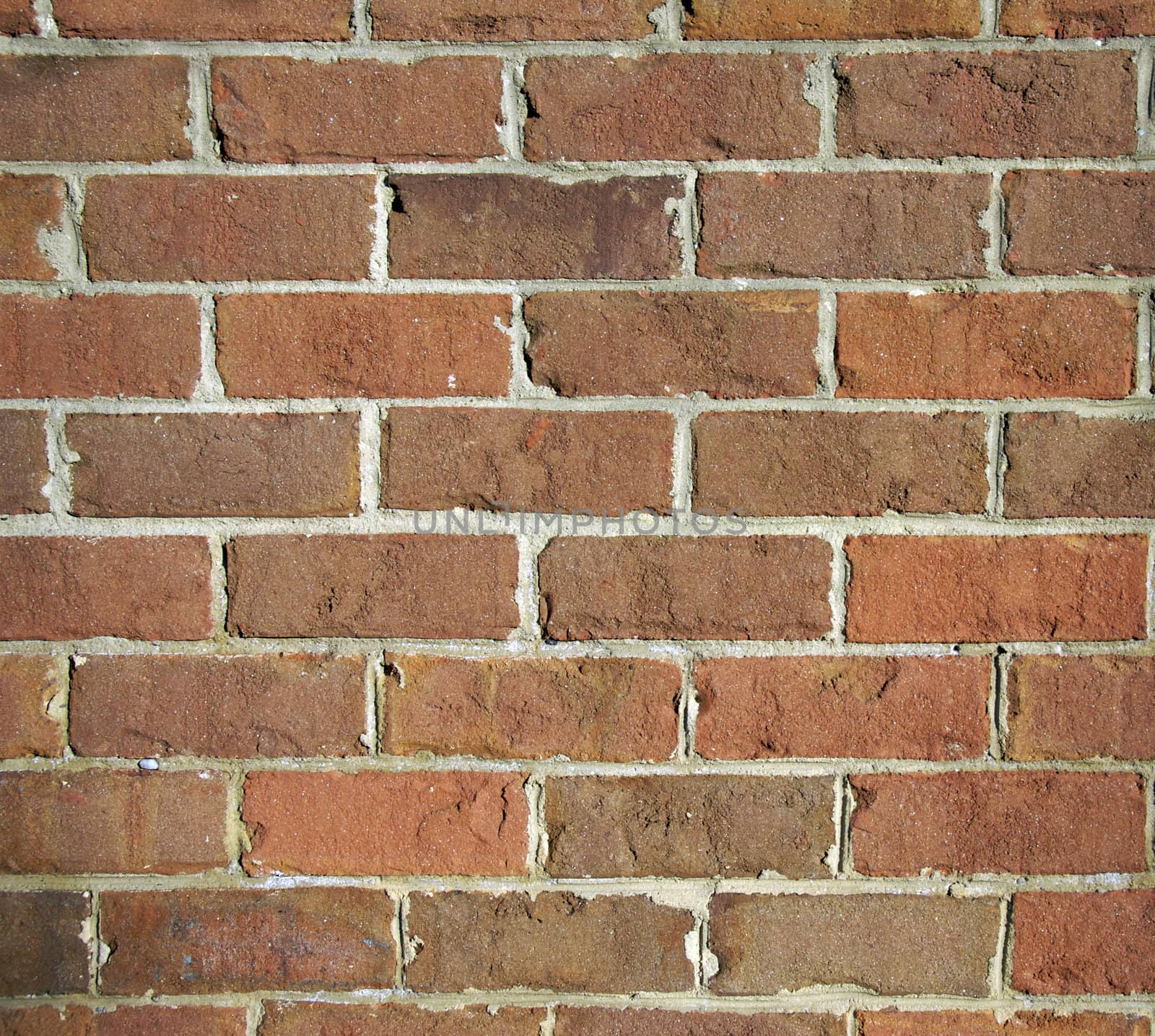 Brick wall with mortar by npologuy