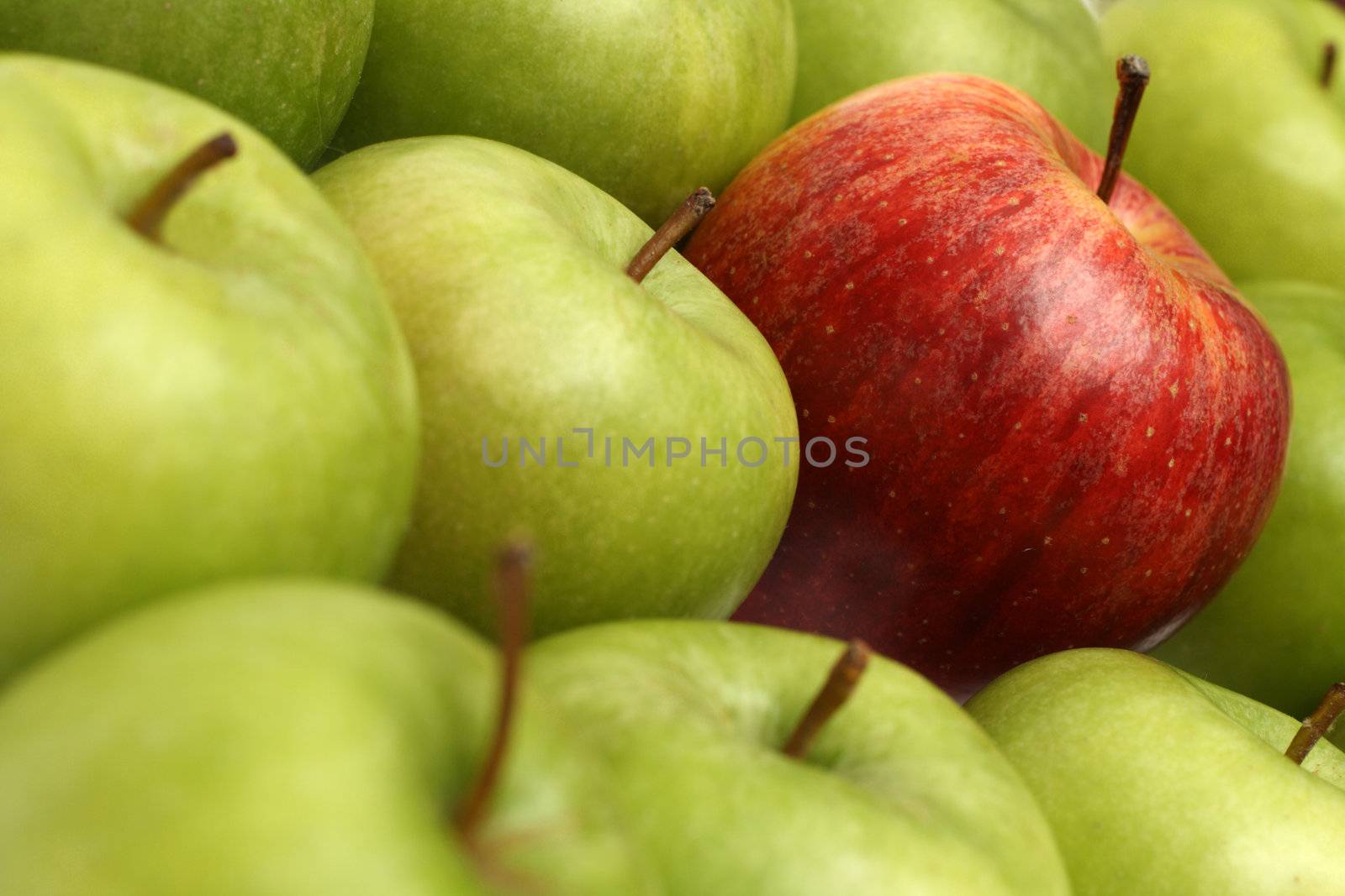 different concepts - red apple between green apples