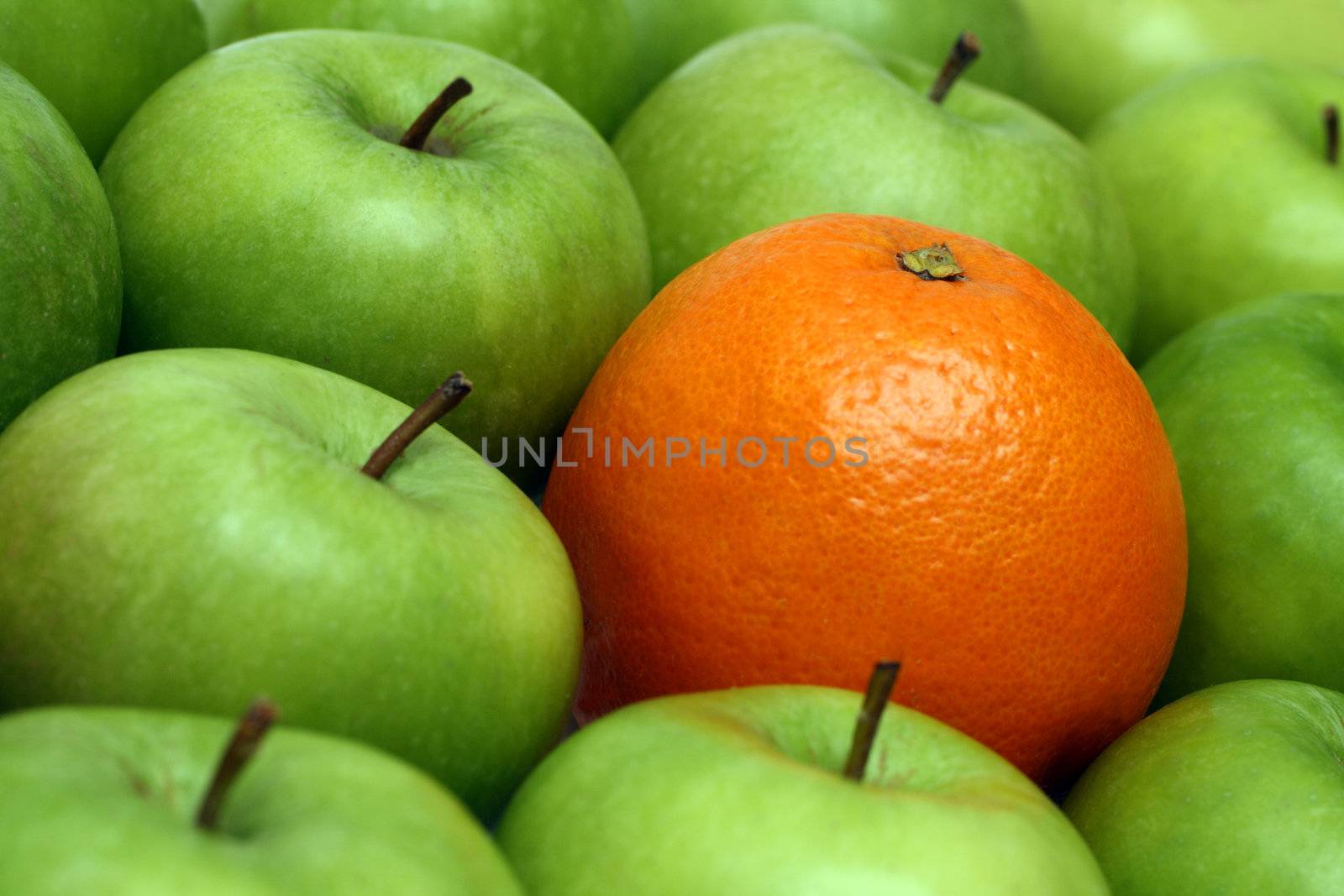 different concepts - orange between green apples