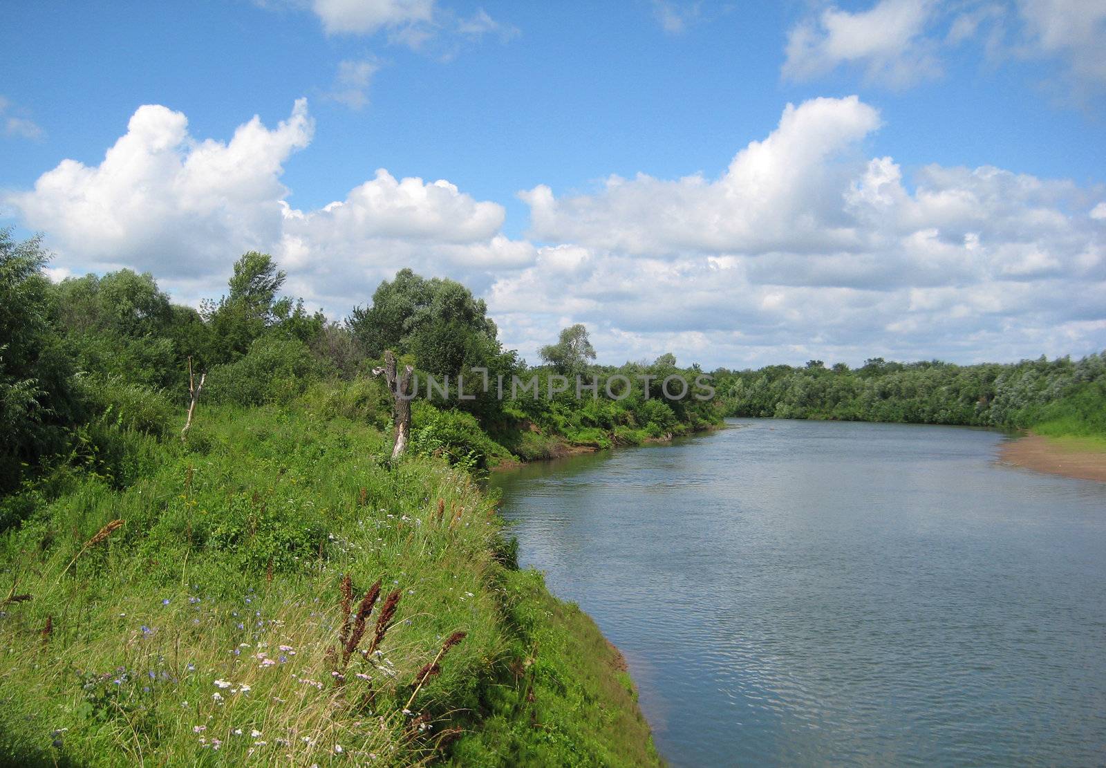 summer landscape with river by Mikko