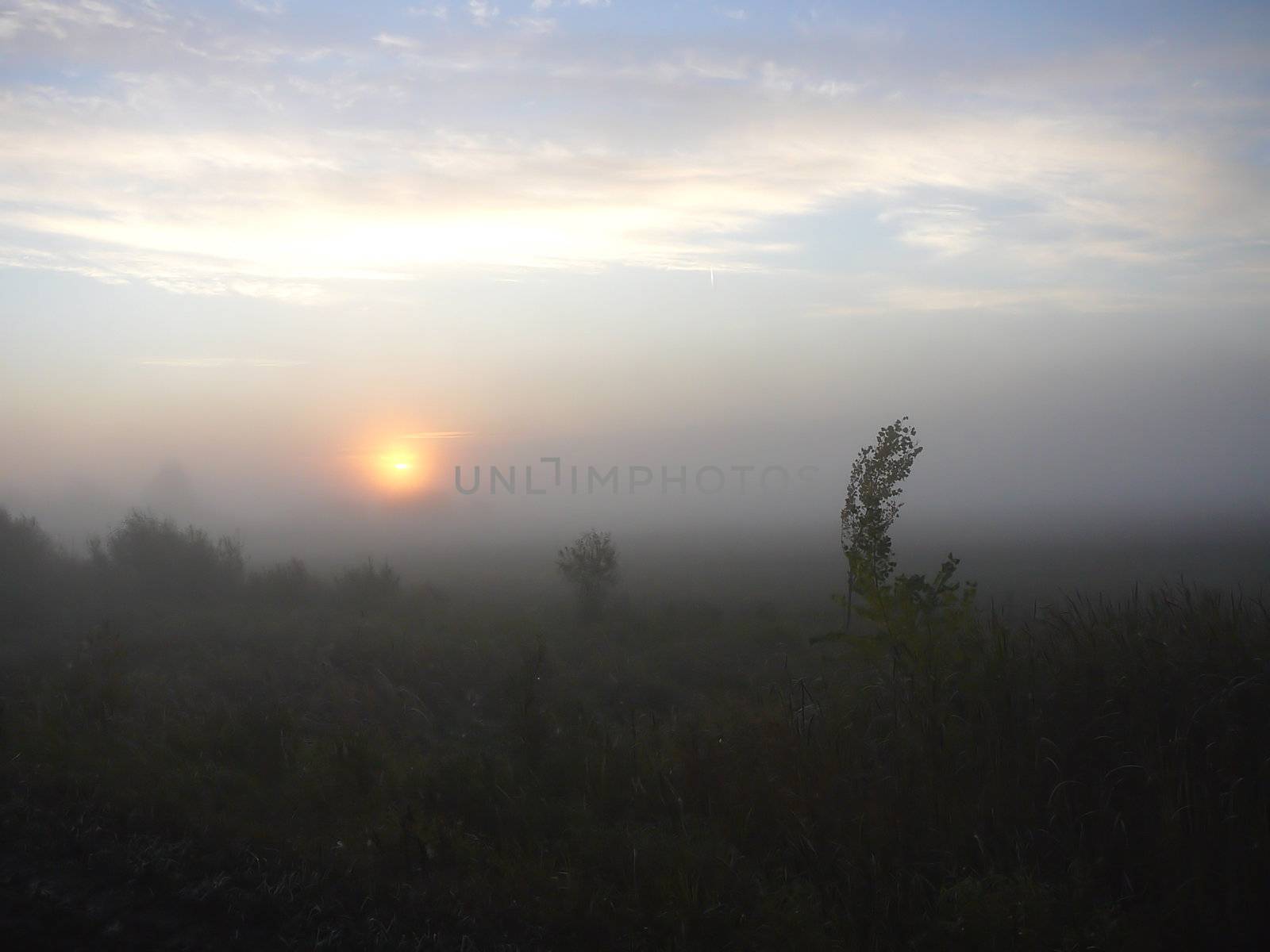 sunrise in the fog fog by Mikko