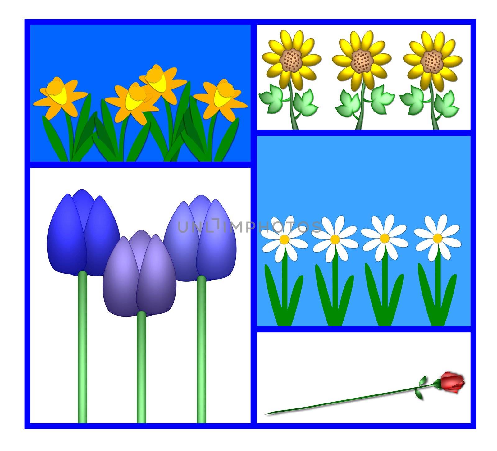 set of flower illustrations