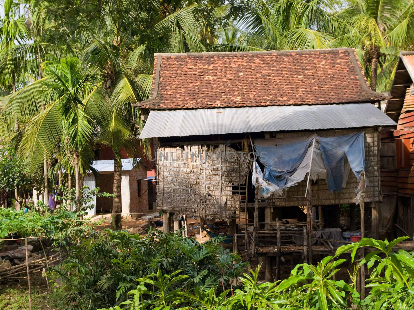 The picture of typical cambodian house next to siem riep
