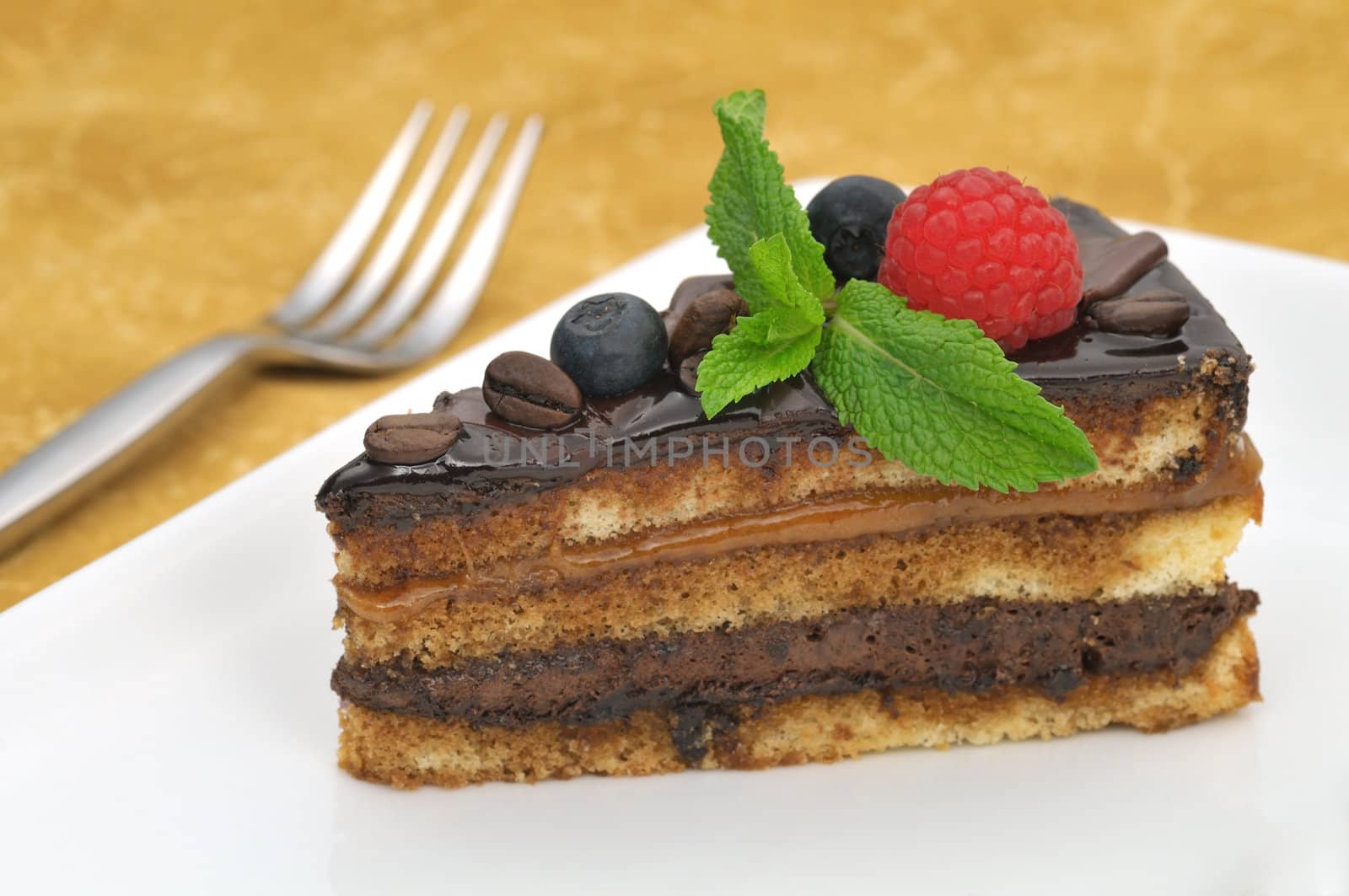 Coffee cake with fruits and mint leaves