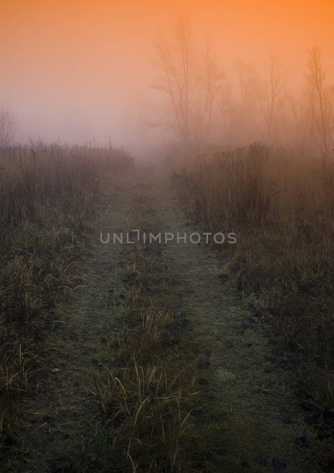 Foggy autumn and non-urban scene in southern Poland