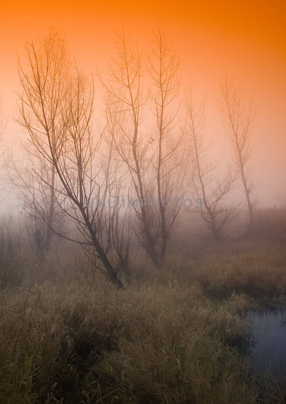 Foggy autumn and non-urban scene in southern Poland