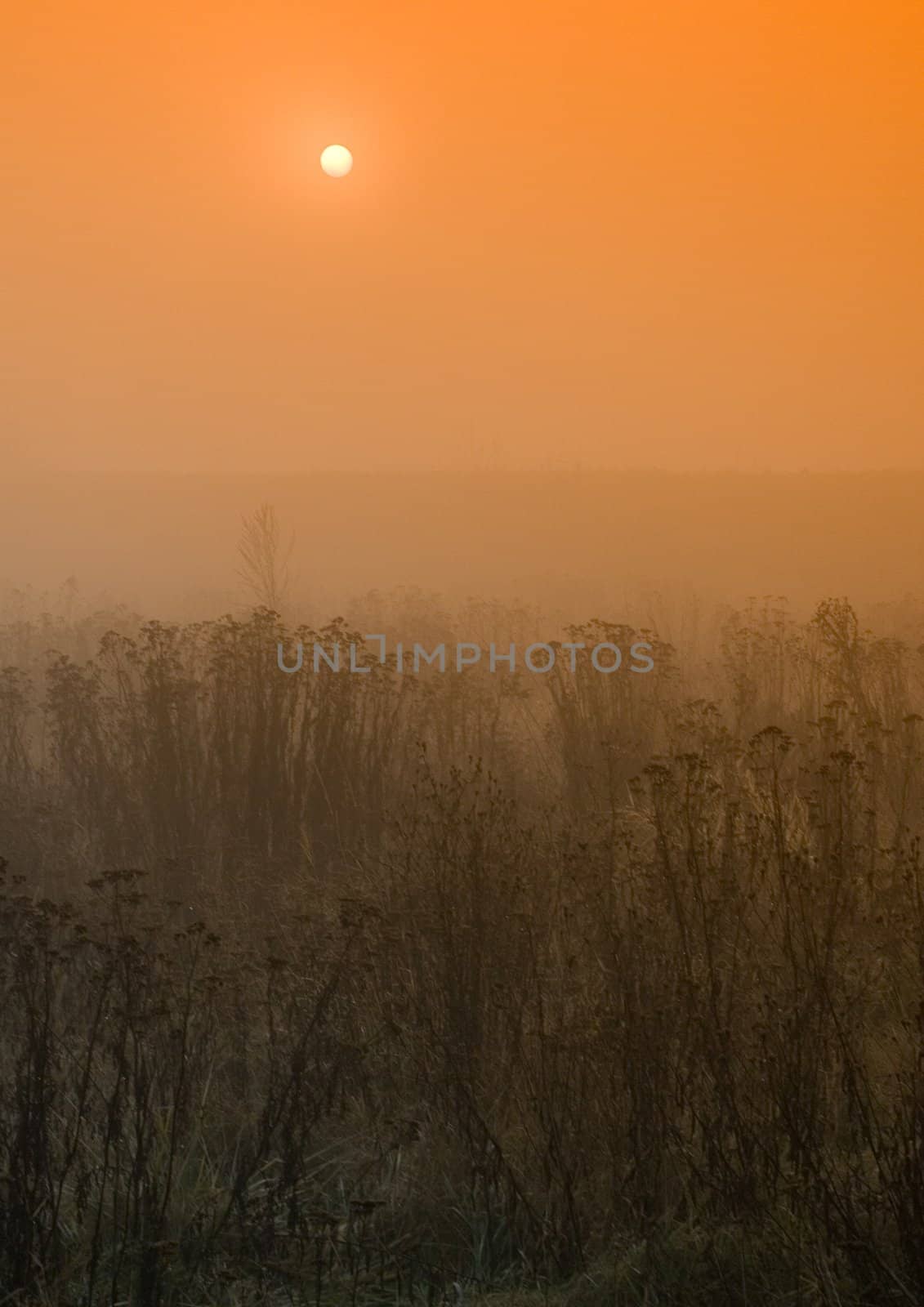 Foggy autumn and non-urban scene in southern Poland