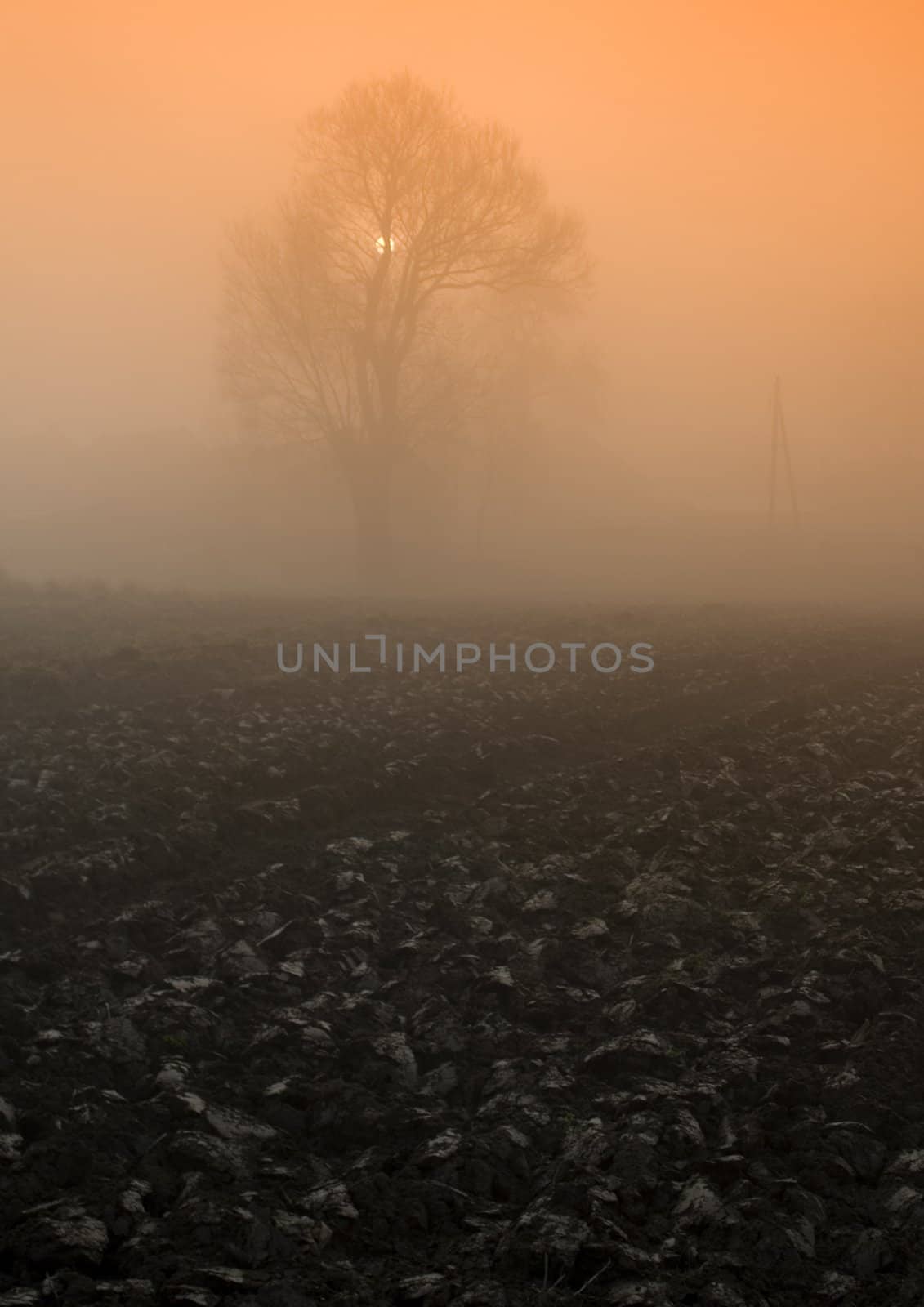 Foggy autumn and non-urban scene in southern Poland