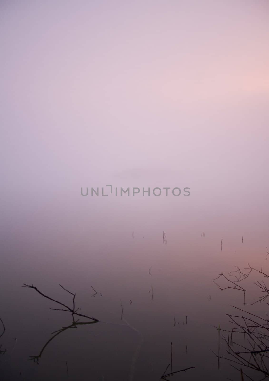 Foggy morning and non-urban scene in southern Poland