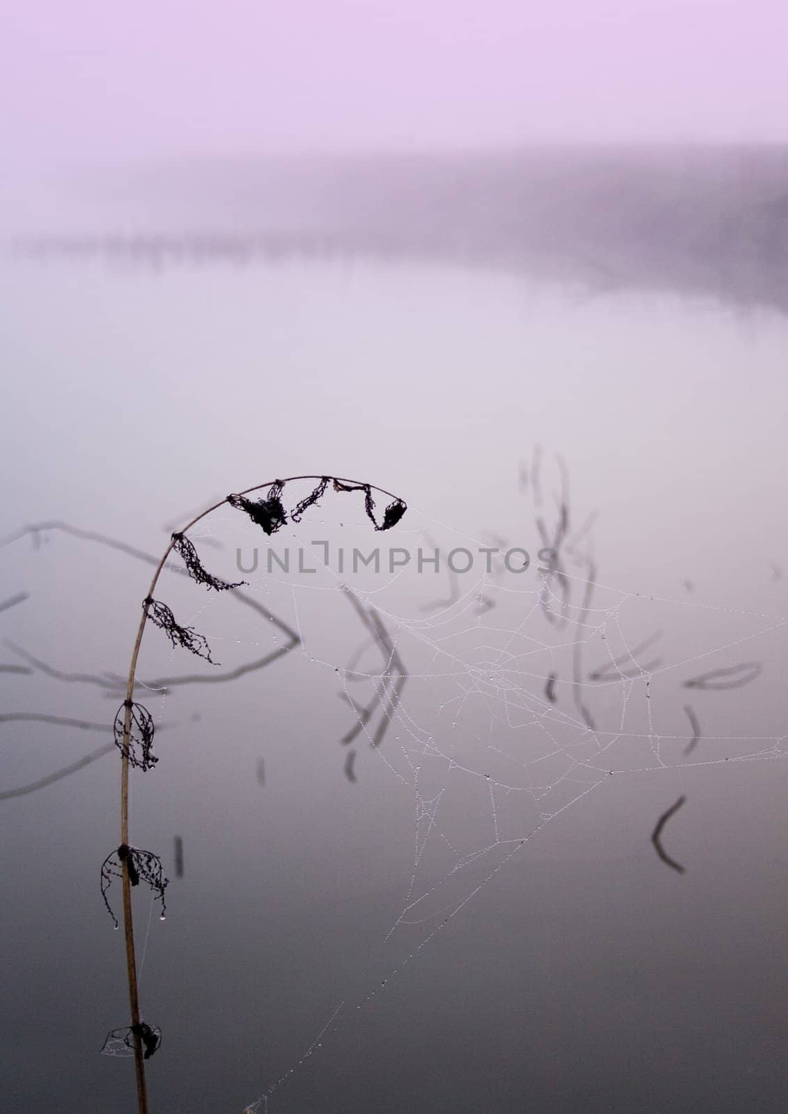 Foggy morning and non-urban scene in southern Poland