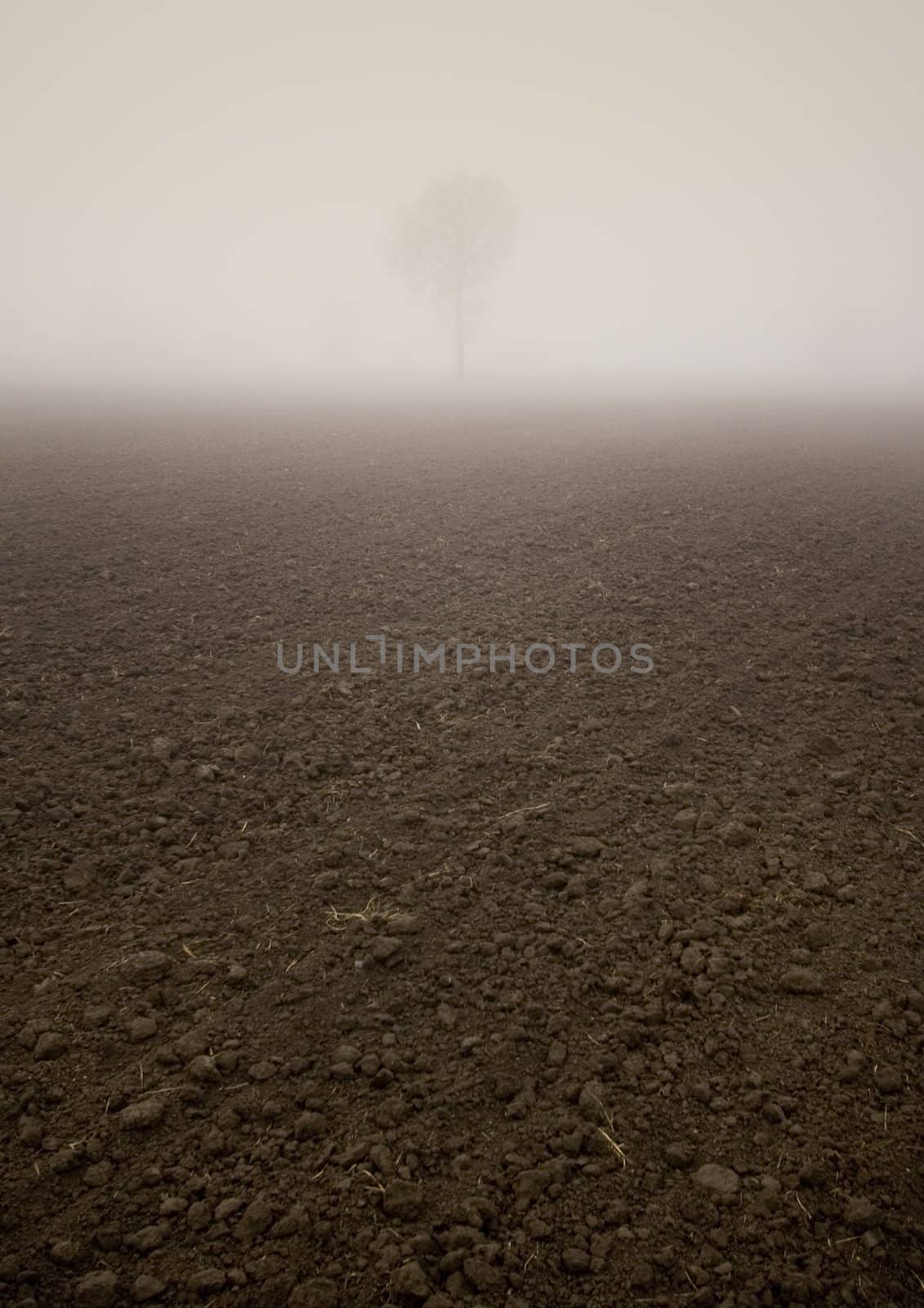 Foggy morning and non-urban scene in southern Poland