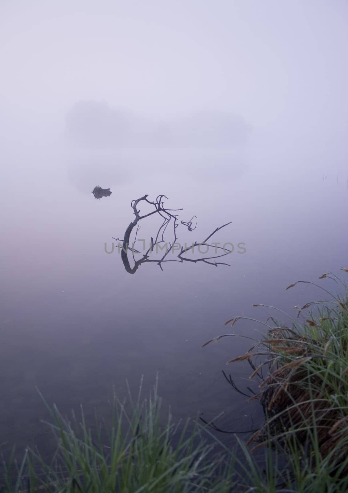 Foggy morning and non-urban scene in southern Poland