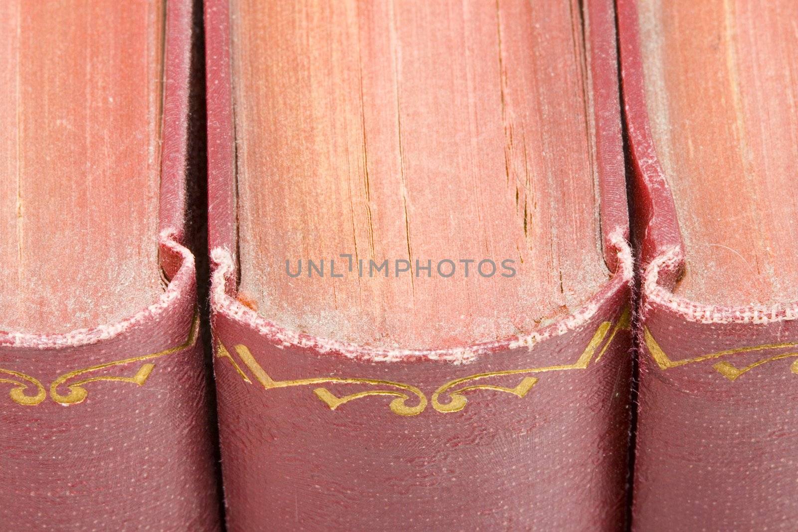 a row of very old dusty books- close up