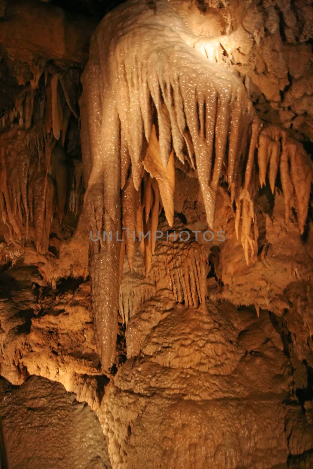 Crystal formations in Lake Shasta Caverns
