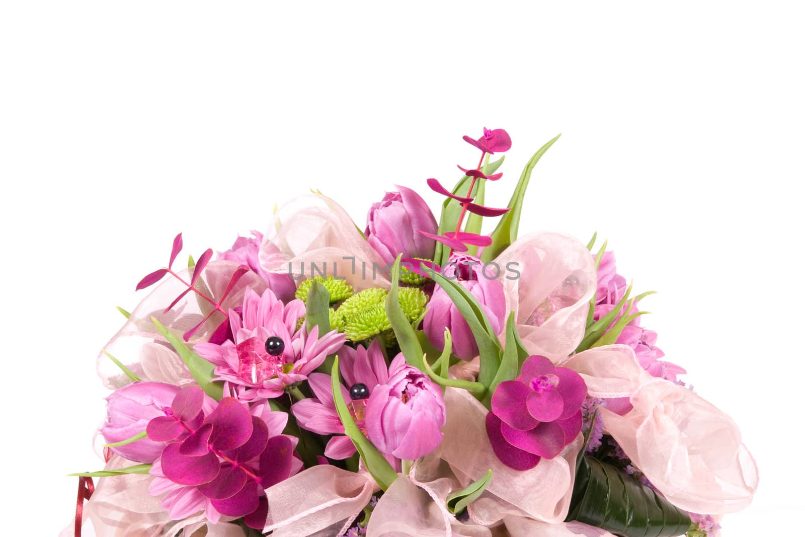 Beautiful violet varied bouquet on white background