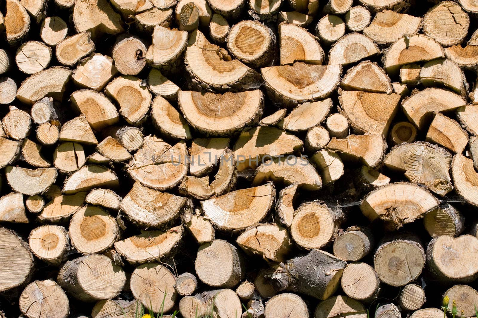 Woodpile of very old wood with many spider's webs