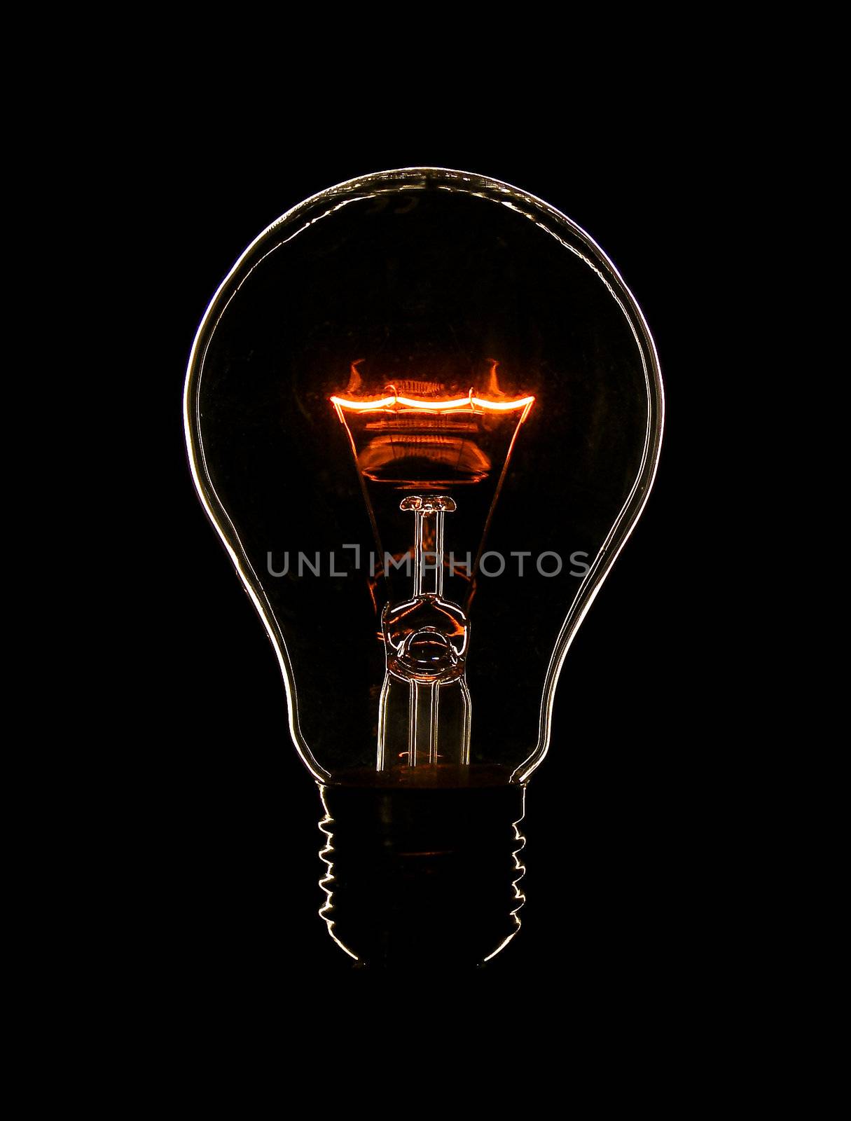 one white glowing bulb by yaron