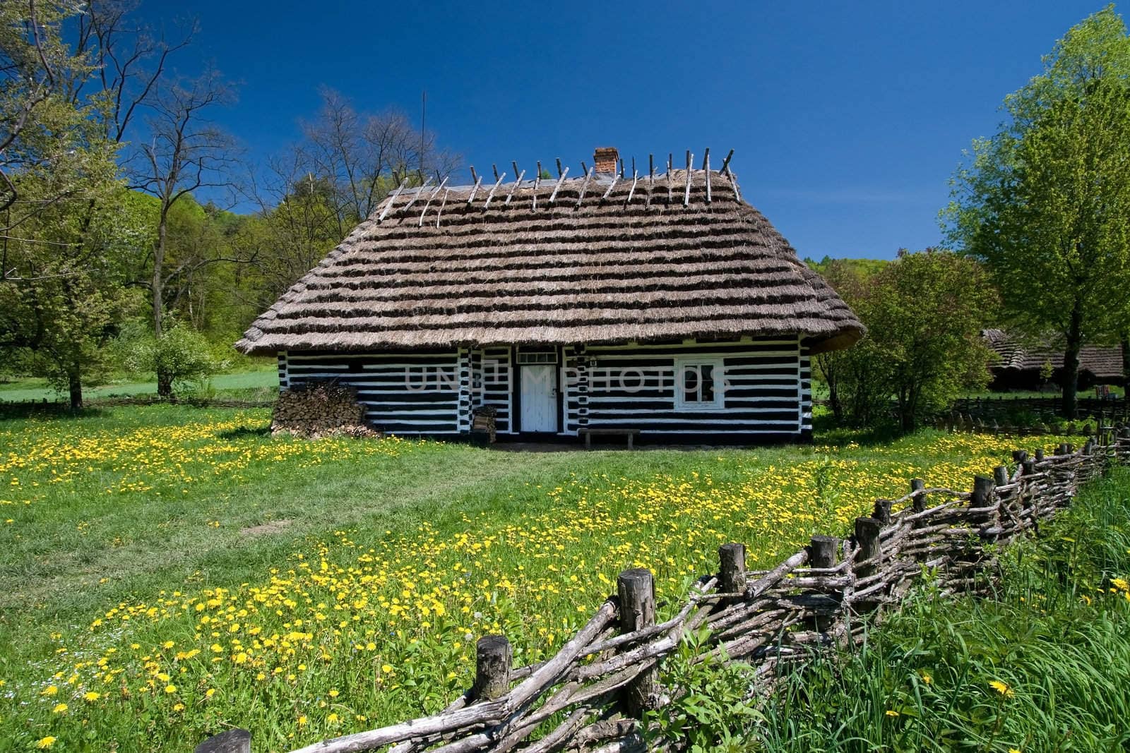 Very old house from Poland with thatched roof. Beautiful spring day. 