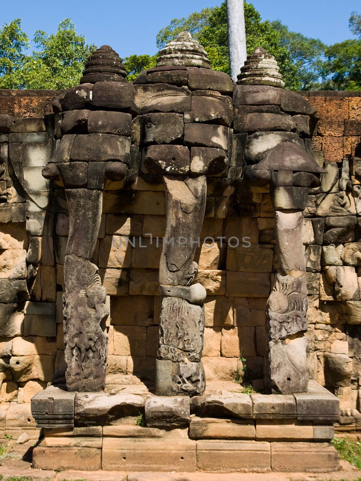 The picture of the three head cambodian elephant