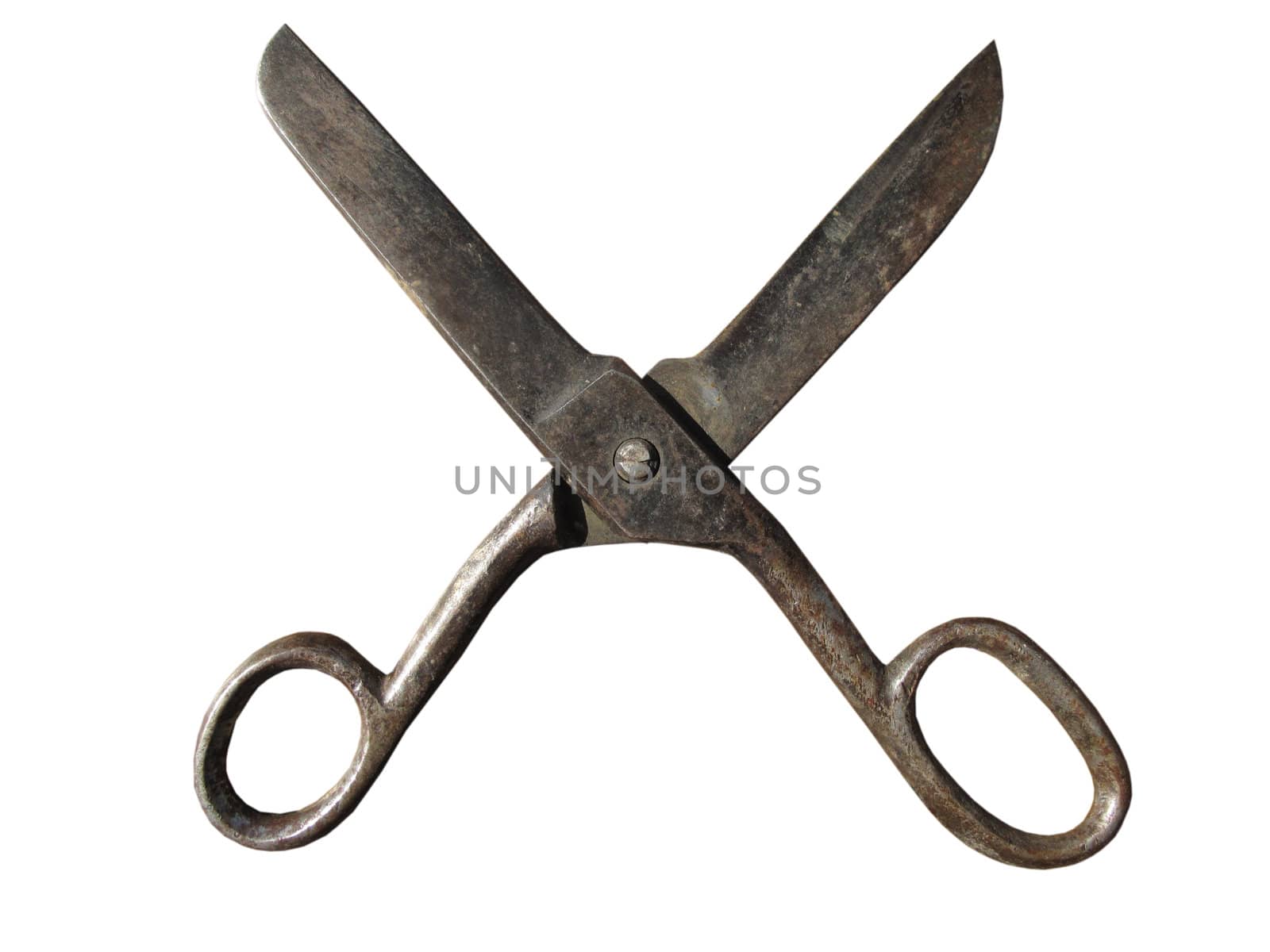 An open pair of old scissors ready to cut.
                            