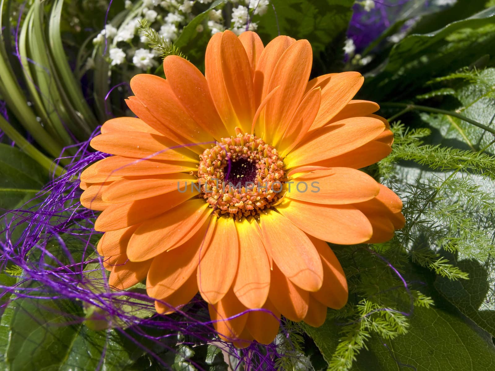 Gerbera flower in green decorations with green leaves