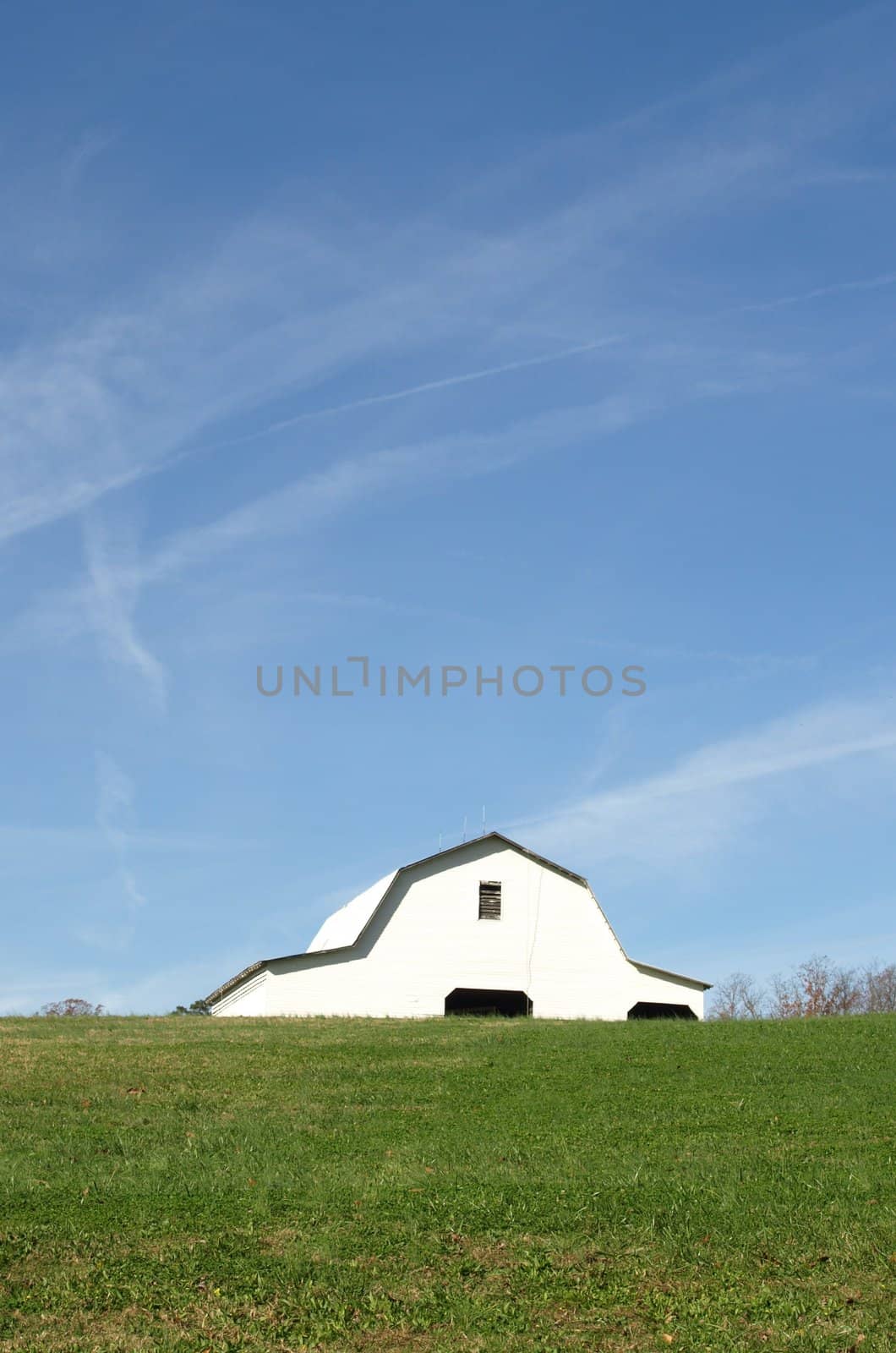 White barn in the field on a summer day