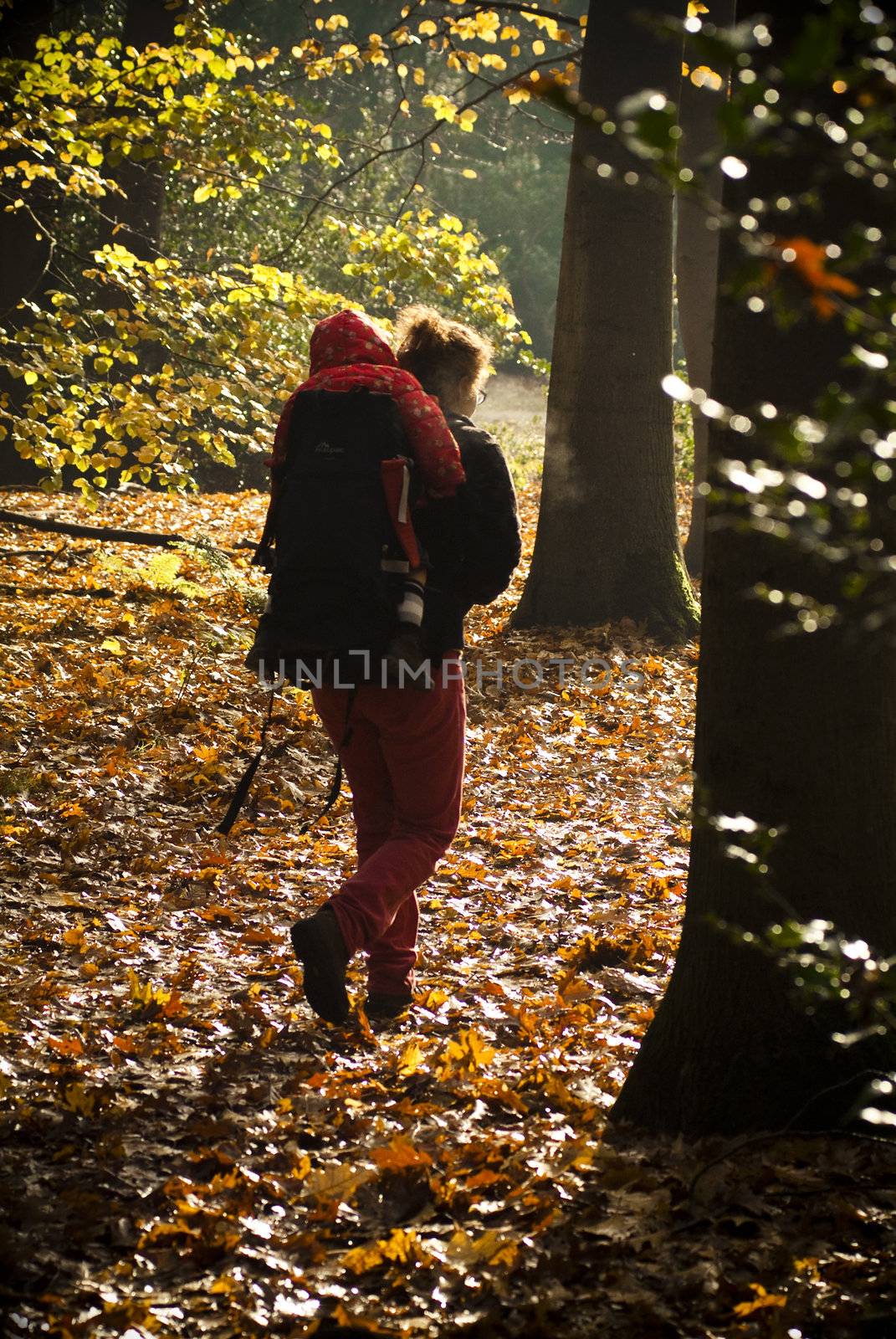 walking with child in backpack in autumn sun