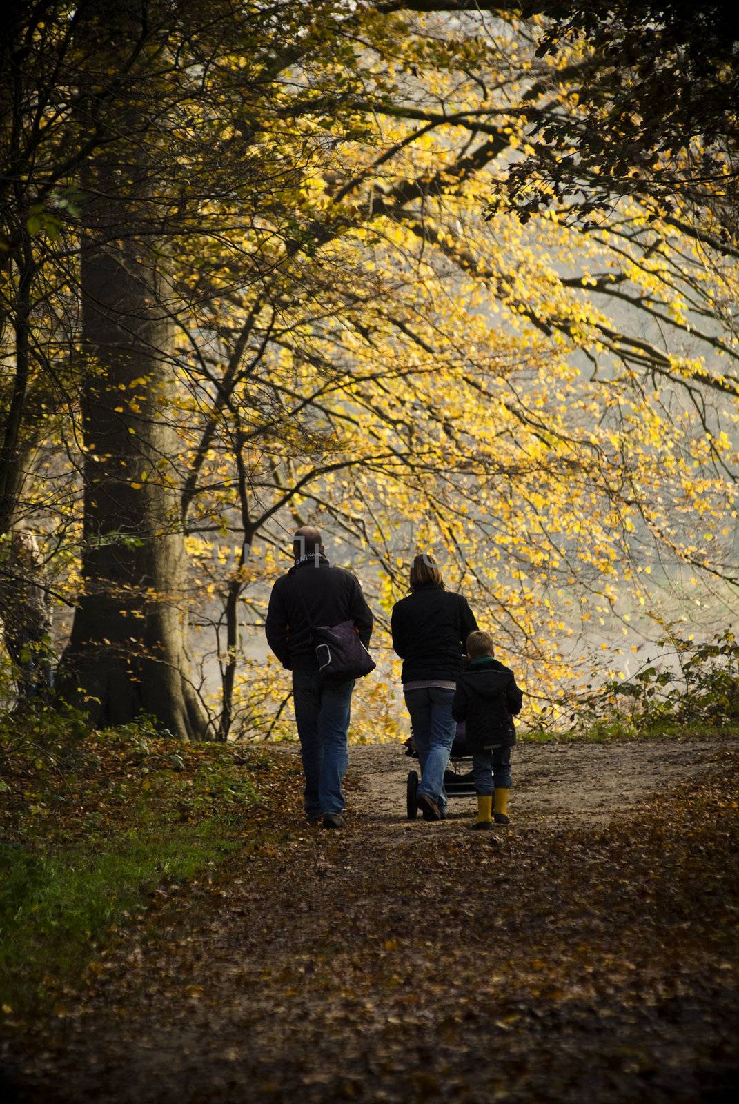 family walking in forest in autumn