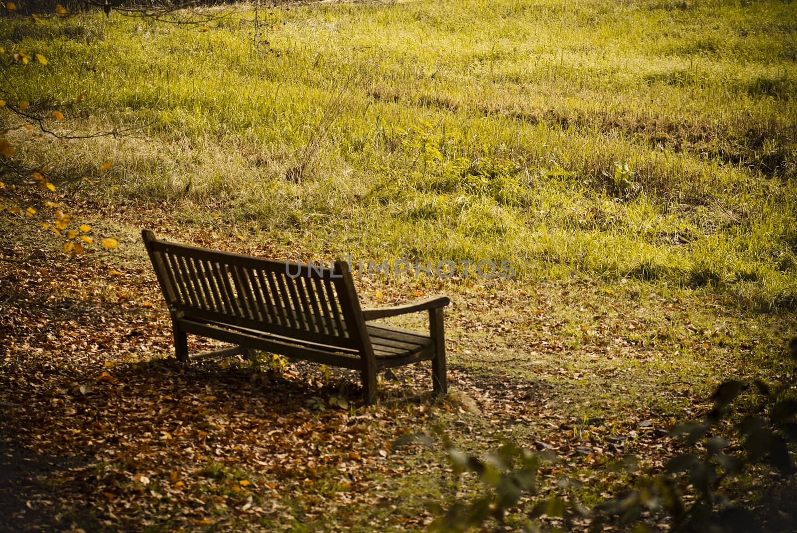 bench in park