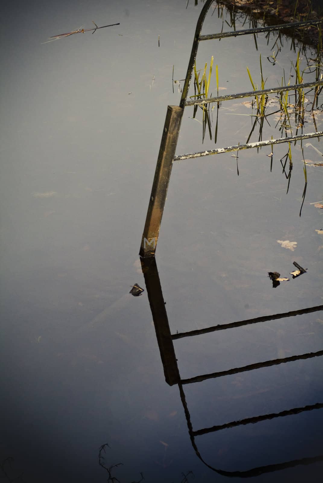 reflections of fence in creek