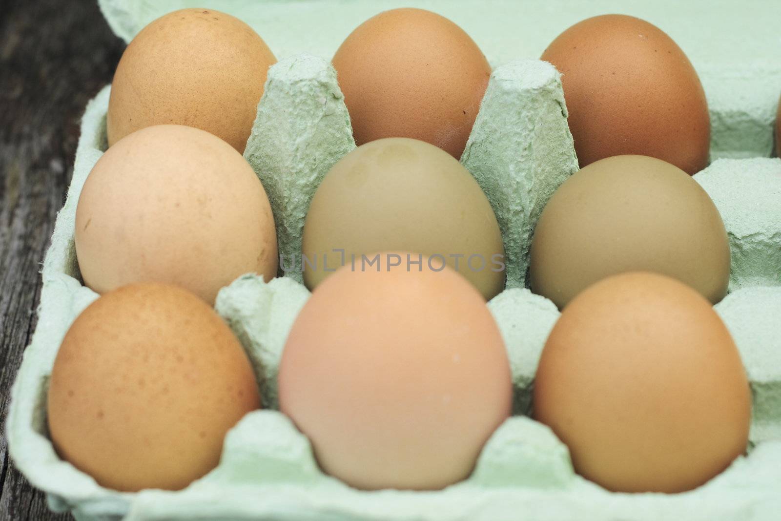 fresh free-range chicken eggs by leafy