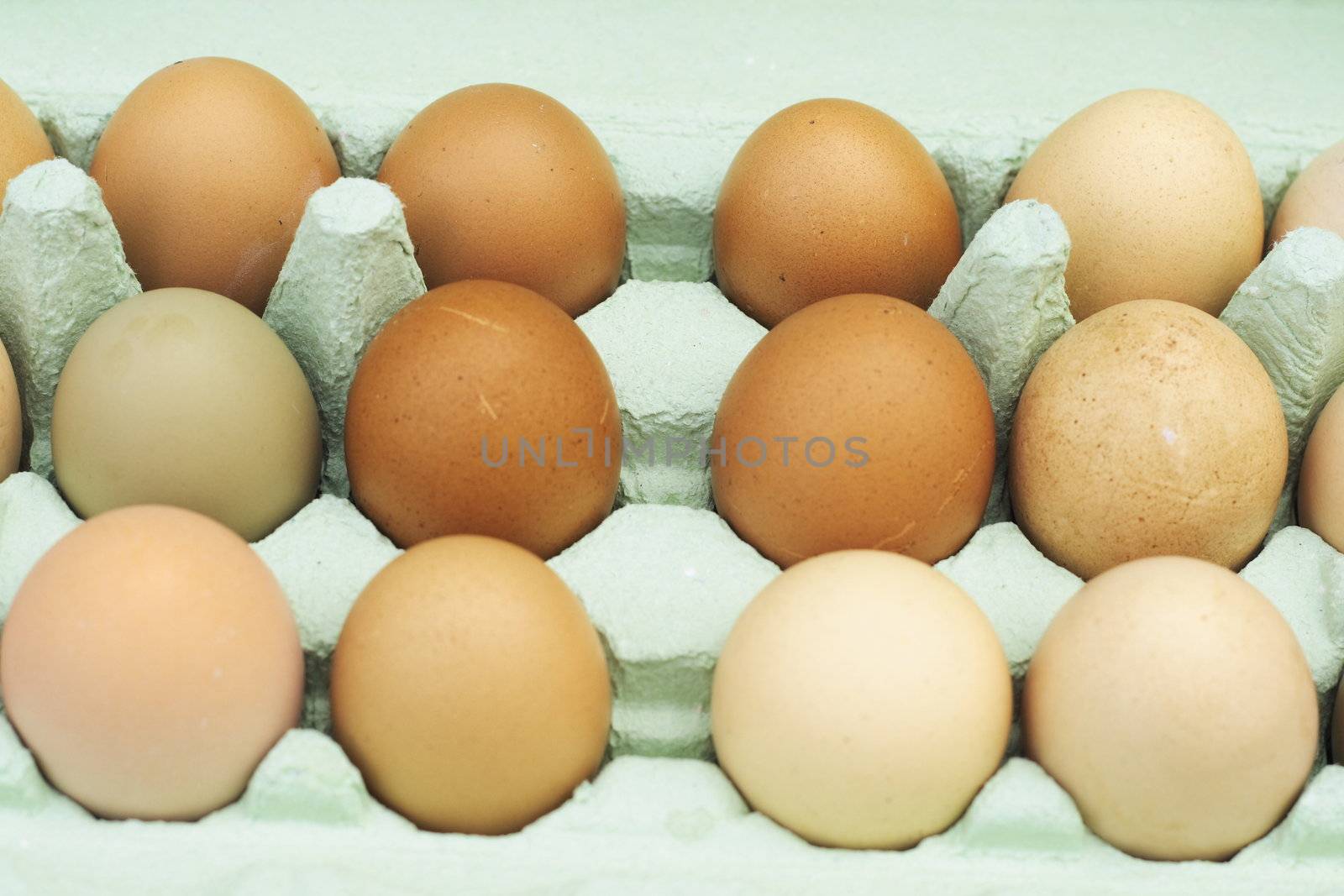 fresh free-range chicken eggs of assorted sizes and colour in a green egg box