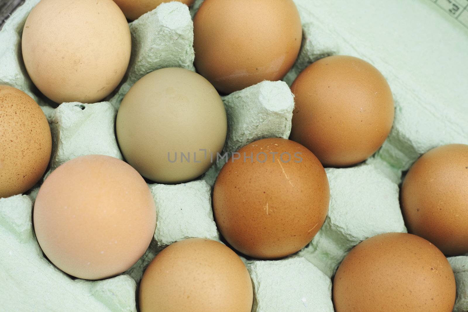 fresh free-range chicken eggs of assorted sizes and colour in a green egg box