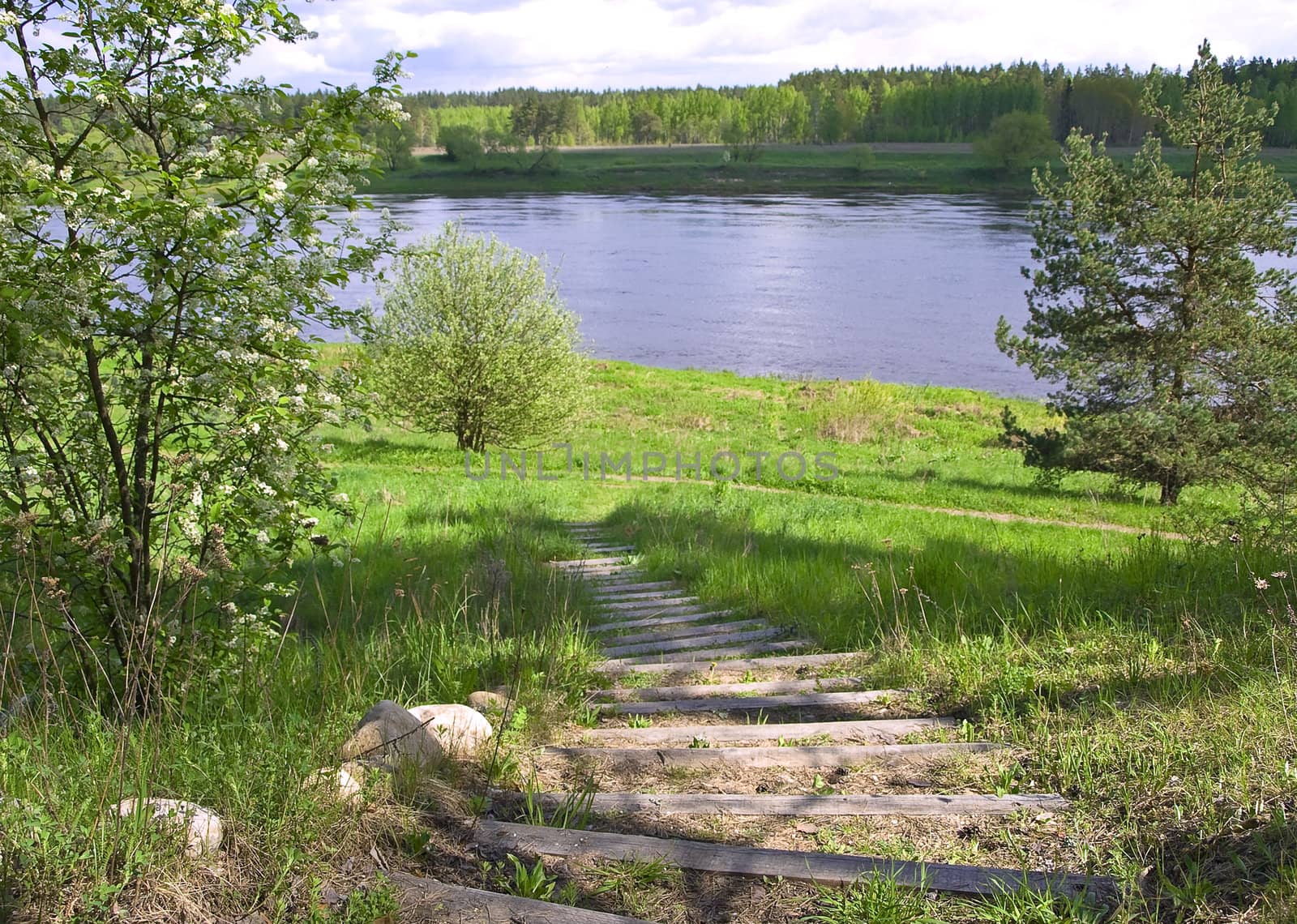 Wooden stairs way to river bend with wild nature landscape