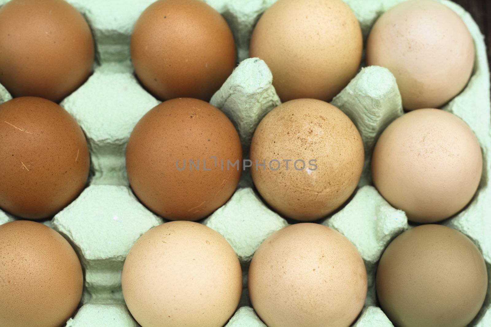 fresh free-range chicken eggs by leafy