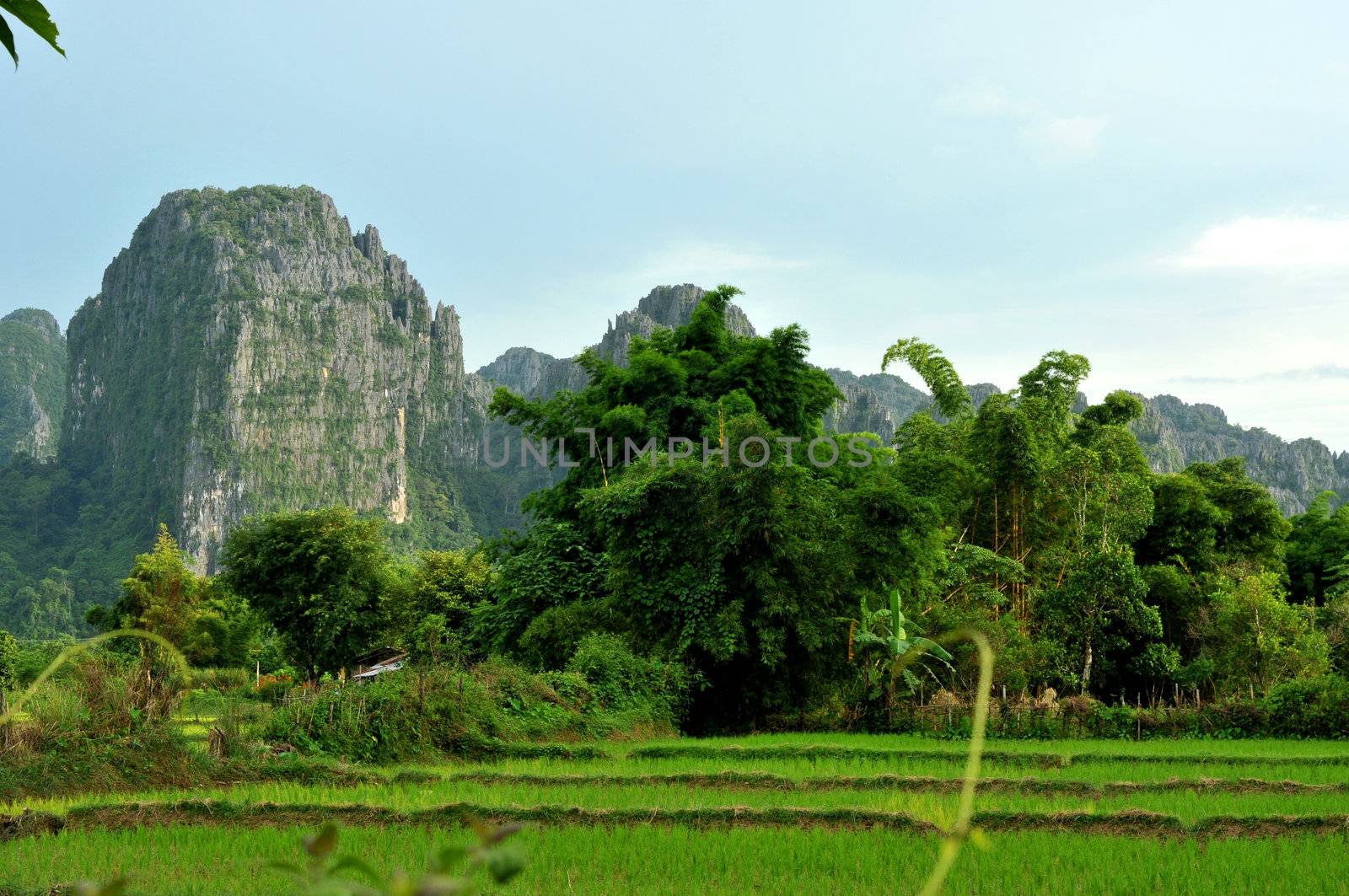 the beautiful landscape of vang vieng,laos by taboga