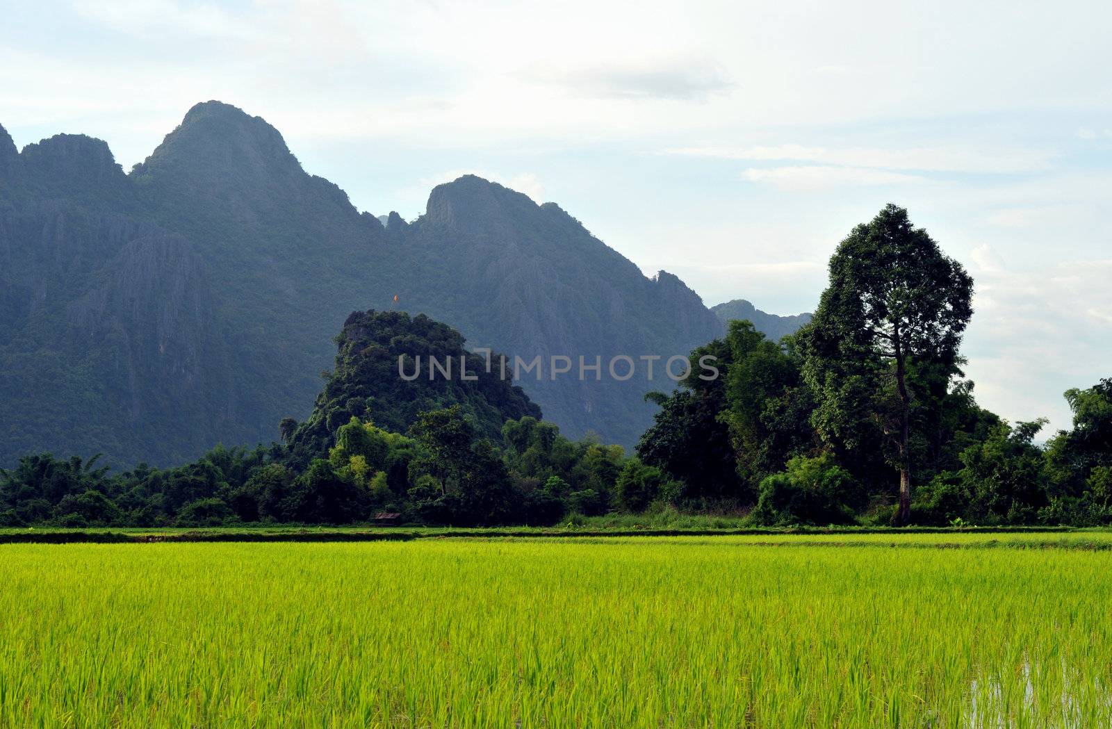 the beautiful landscape of vang vieng,laos