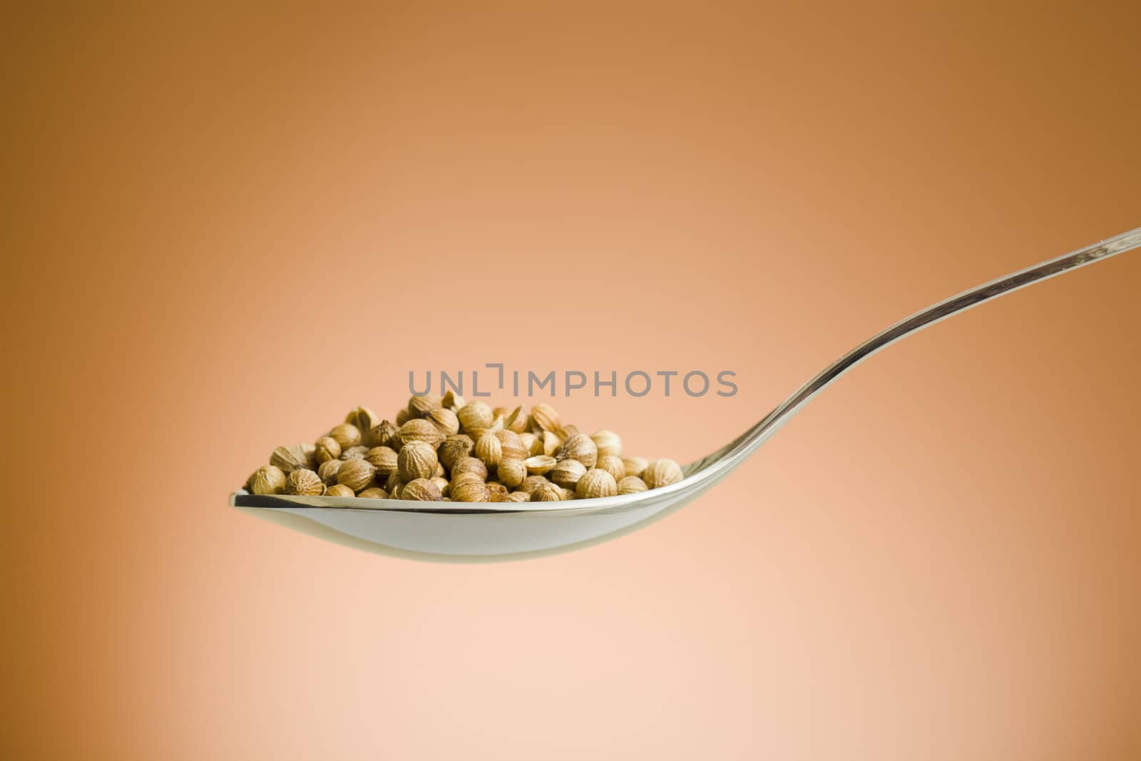 Spoon filled with coriander seeds by mjp