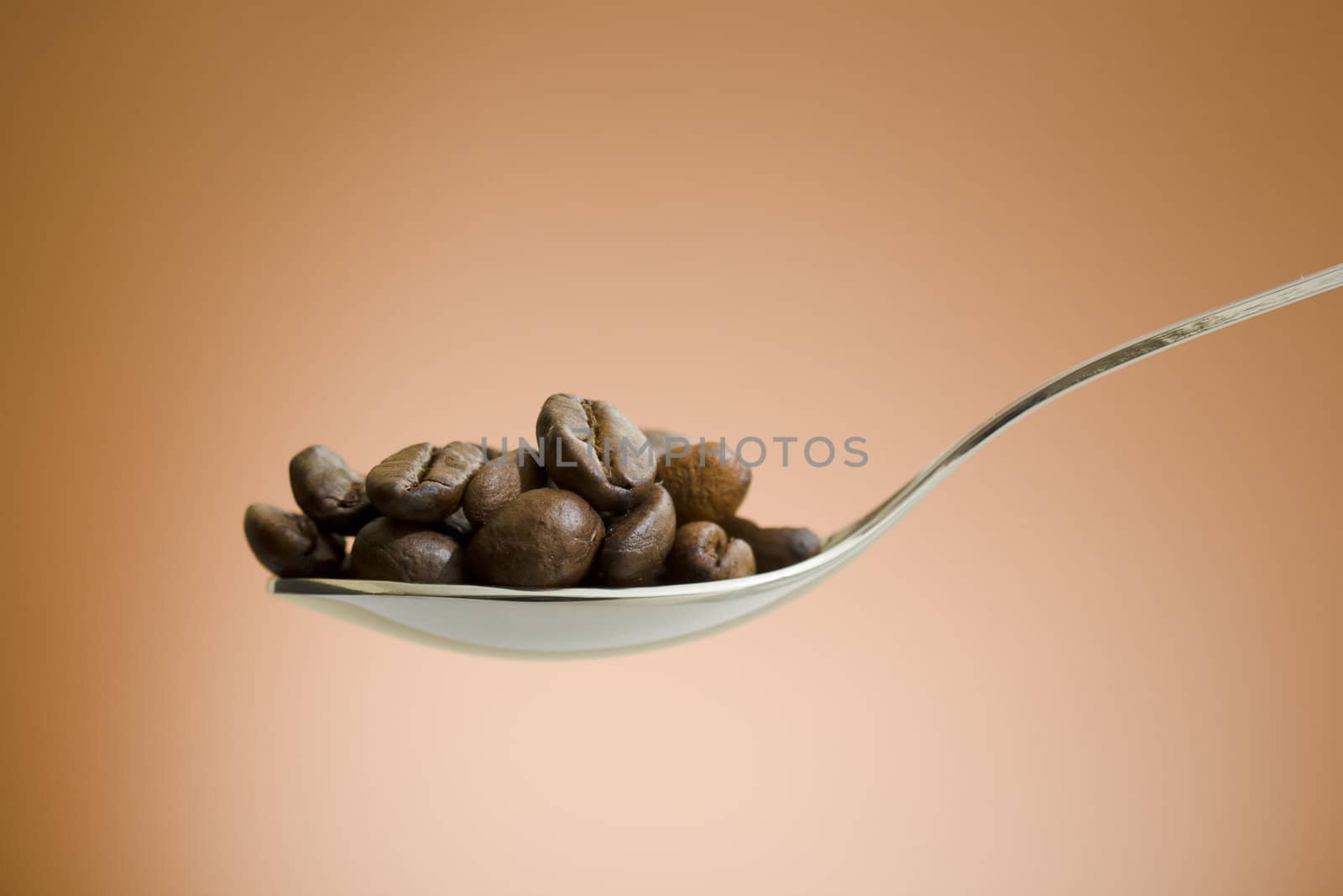 Spoon filled with coffee beans over brown background