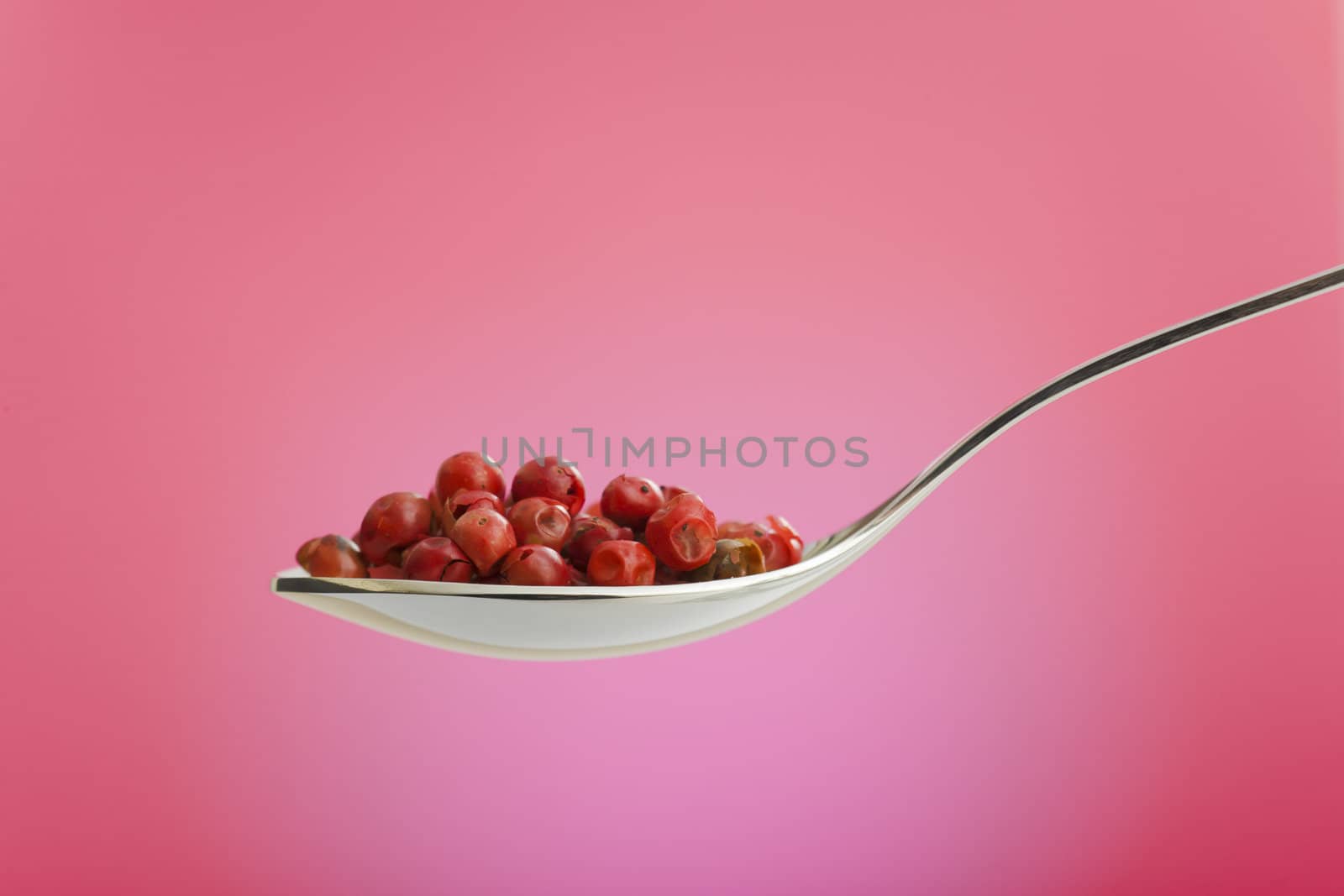 Metal spoon filled with rose dried peppers